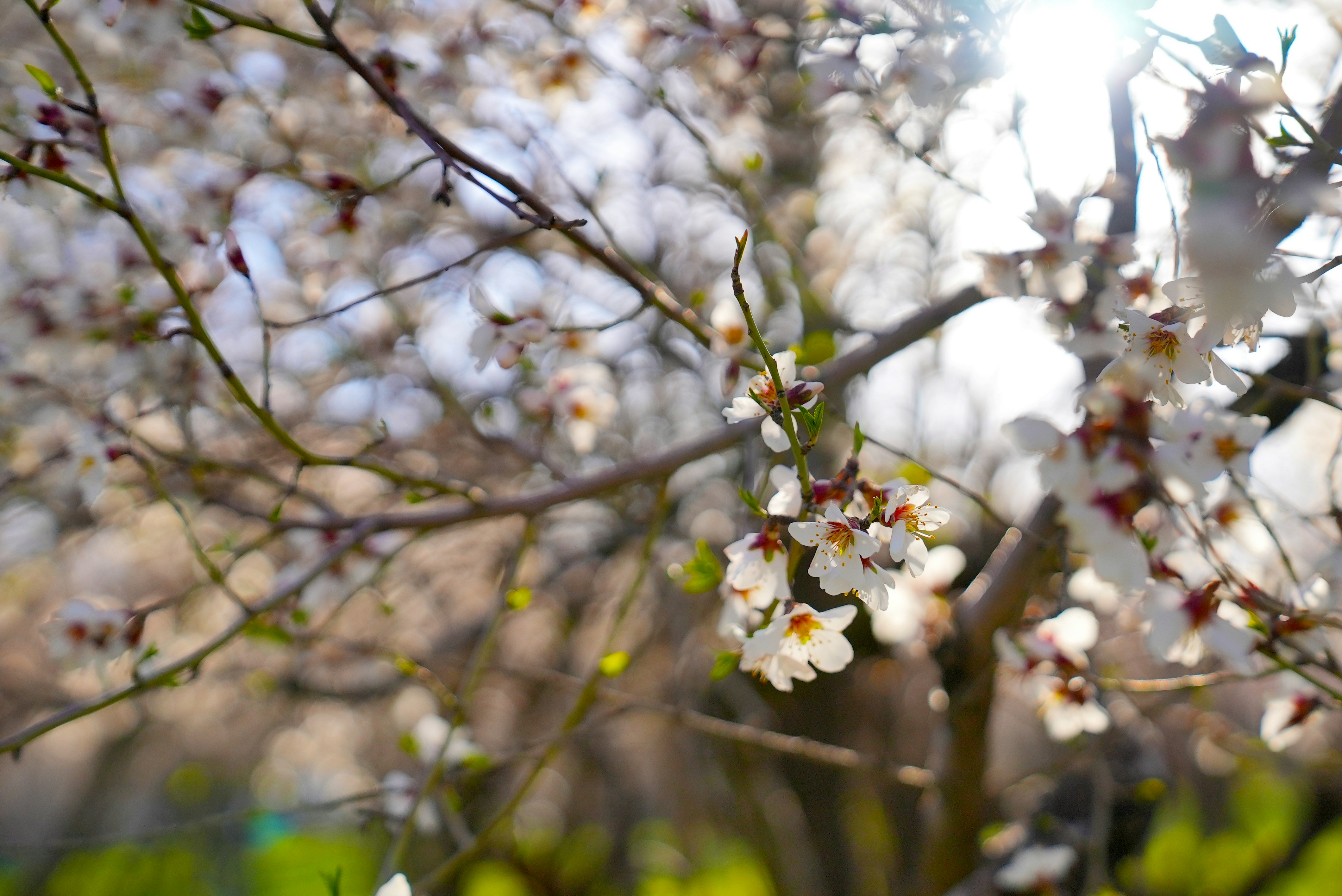 Photo by rafieeartist