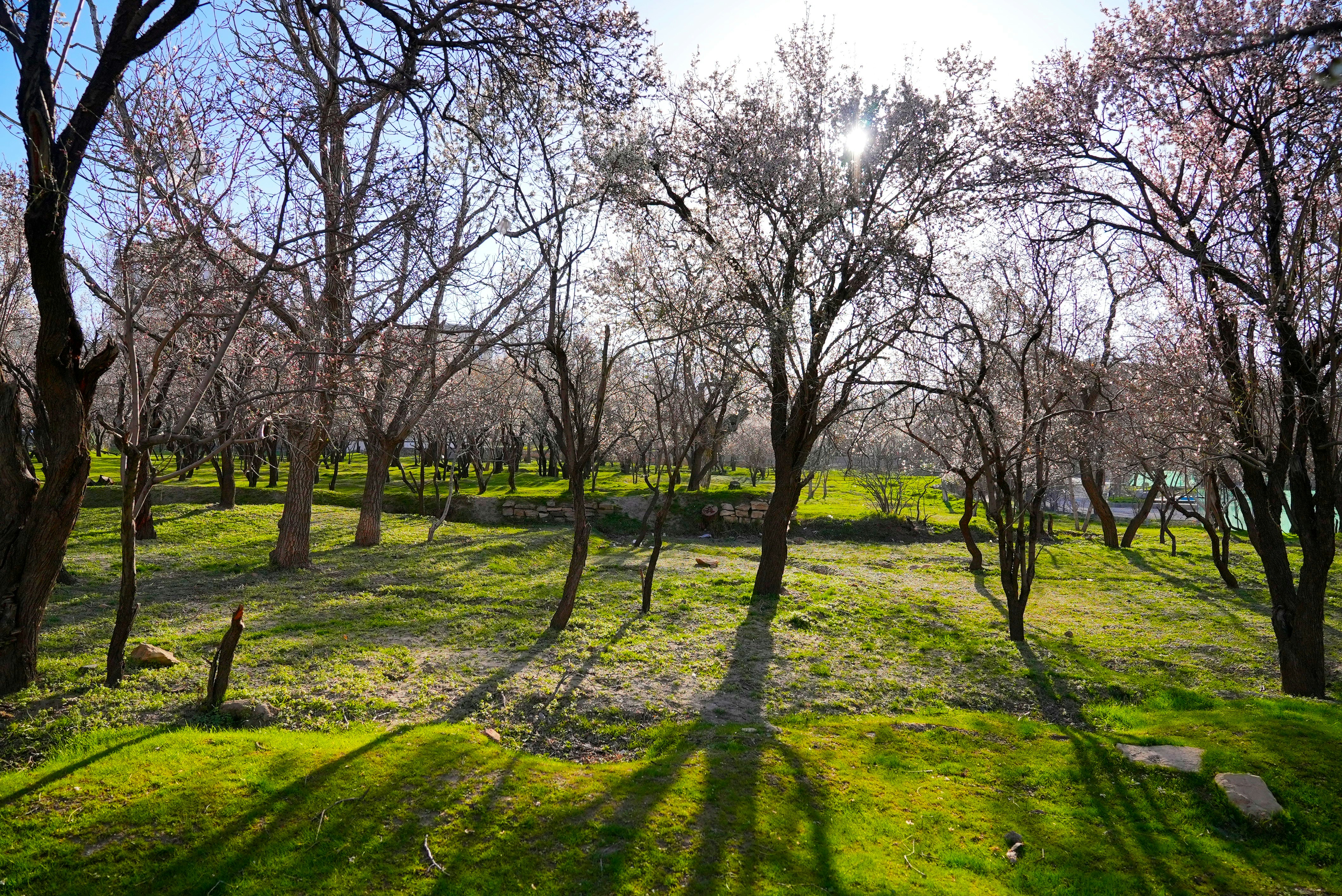 Image by Rafiee Artist via Unsplash