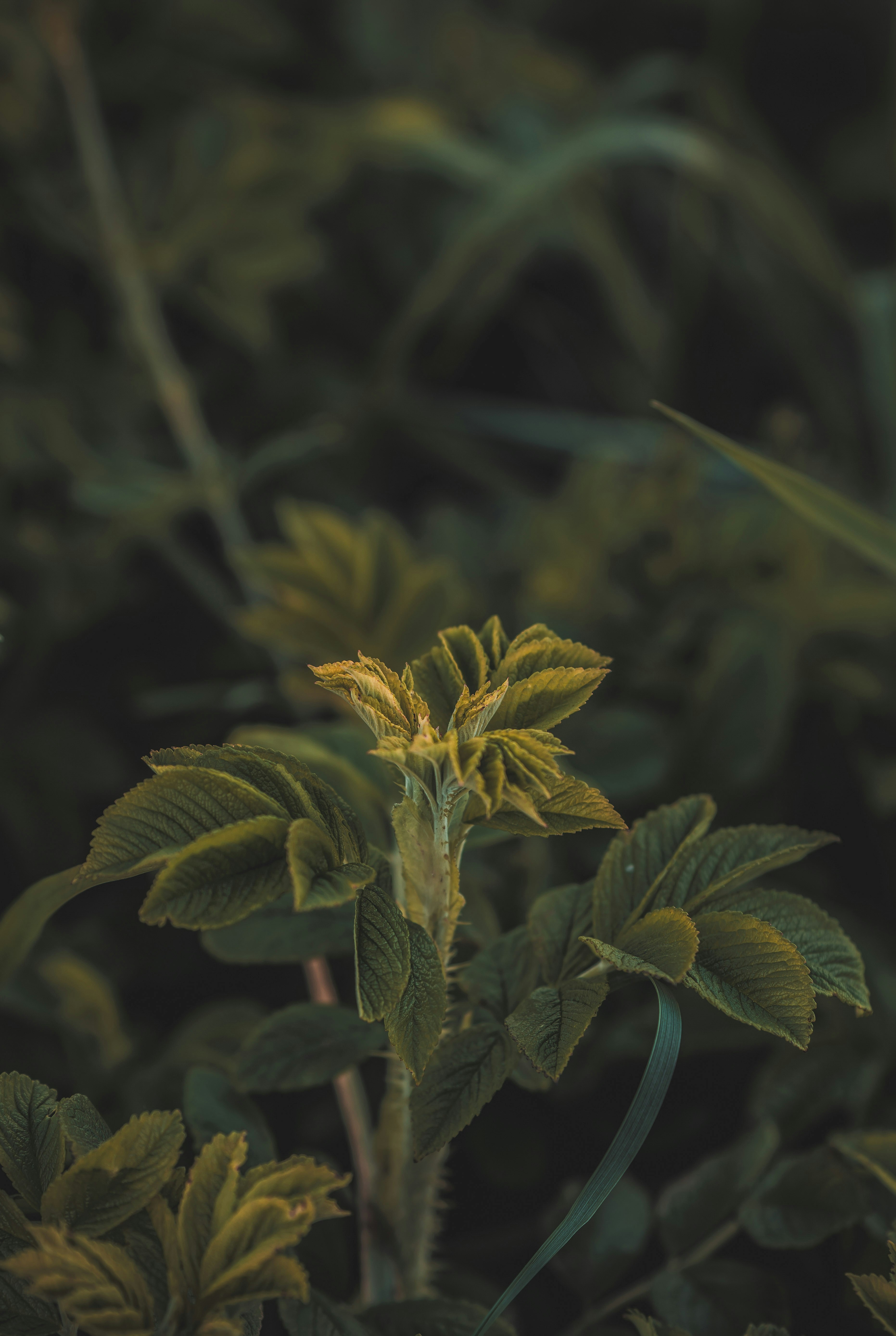 Photo by notsocreative