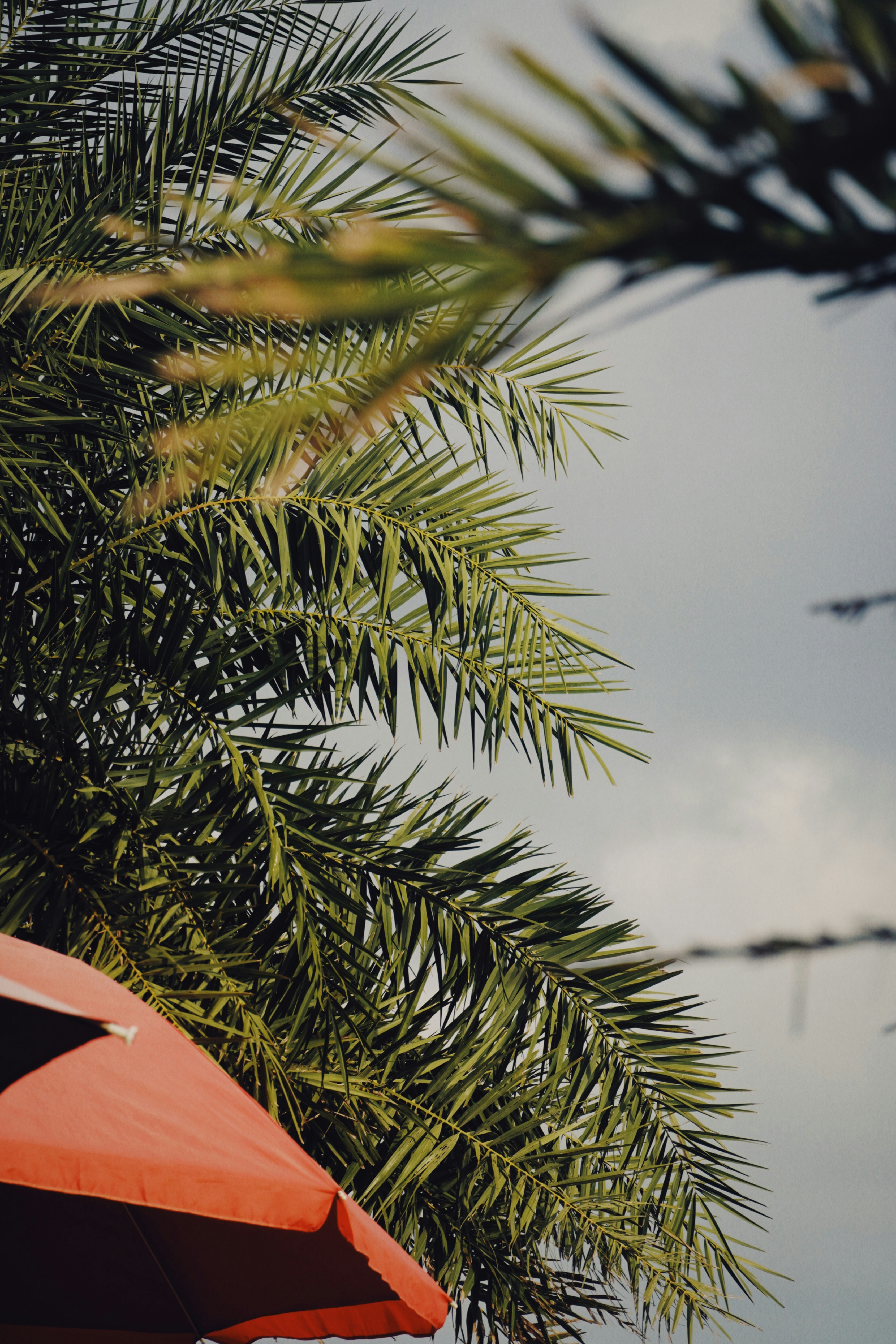 Photo by fenmeihandai