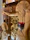 Close-up of a beautifully detailed Christian canvas print hanging above a wooden console.