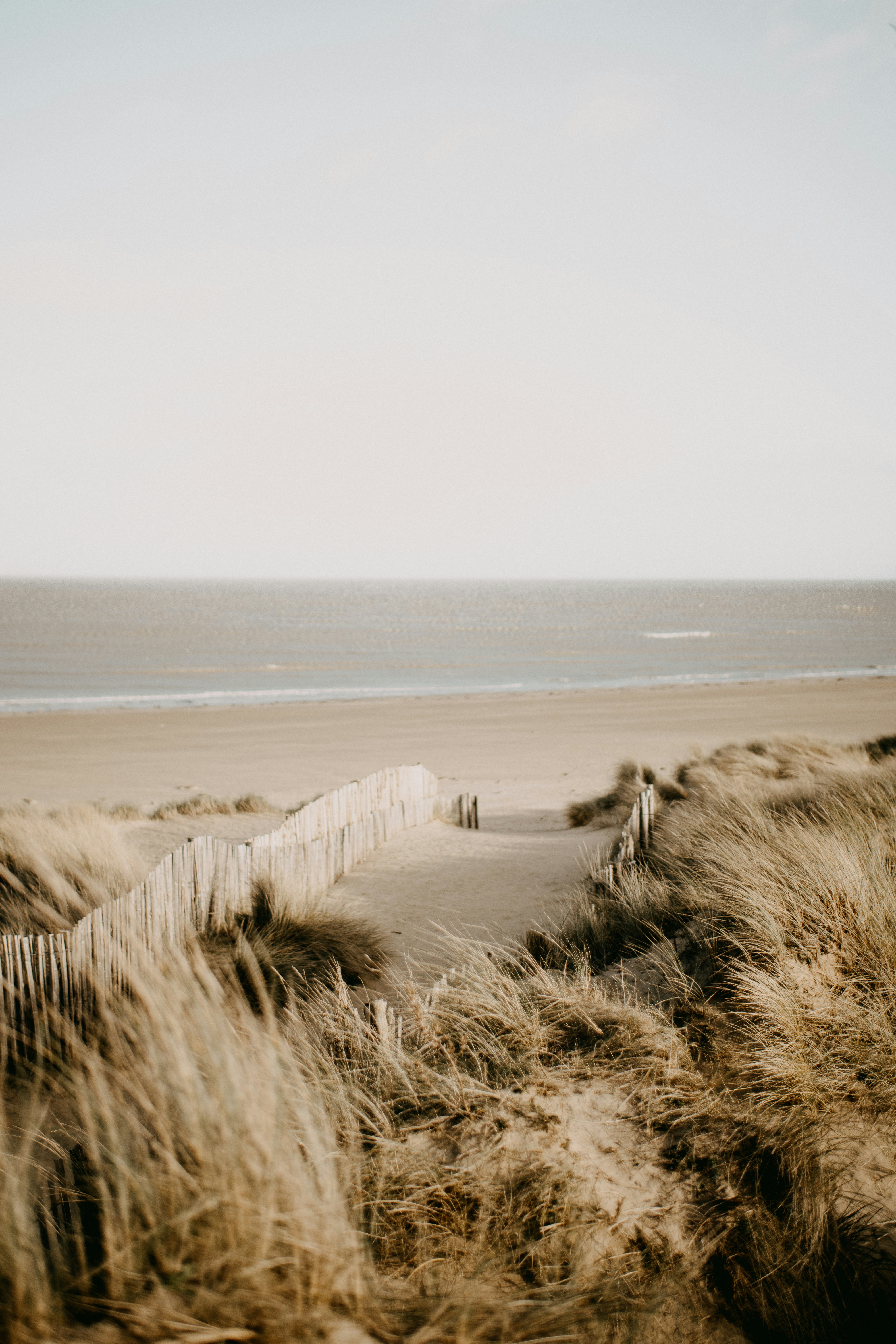 Photo by anniespratt