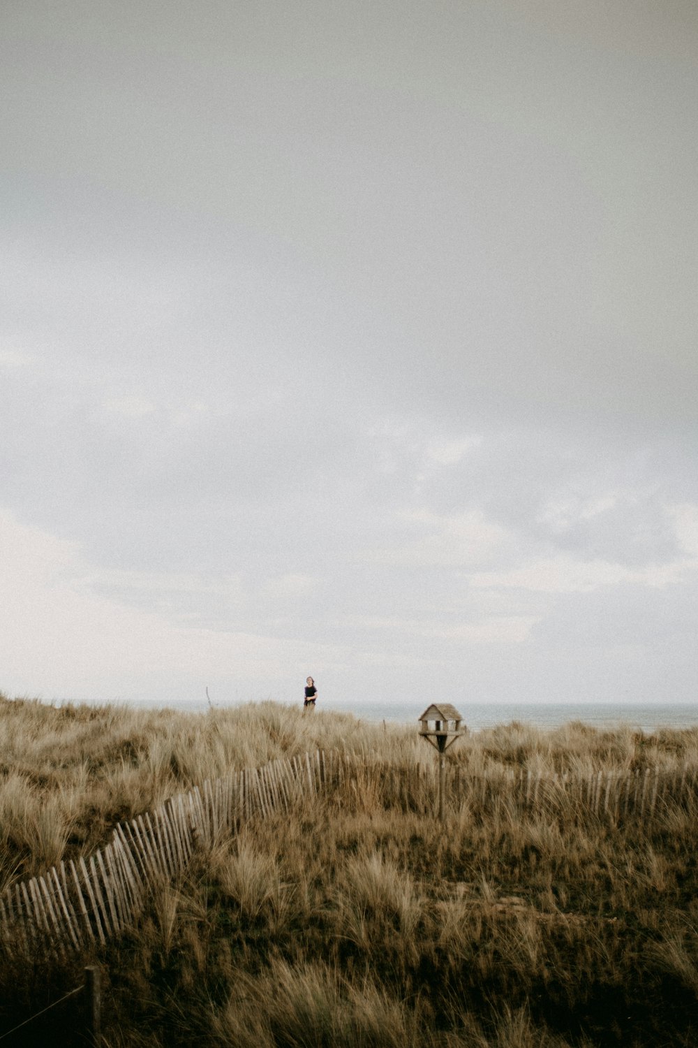 a couple of people standing on top of a grass covered field