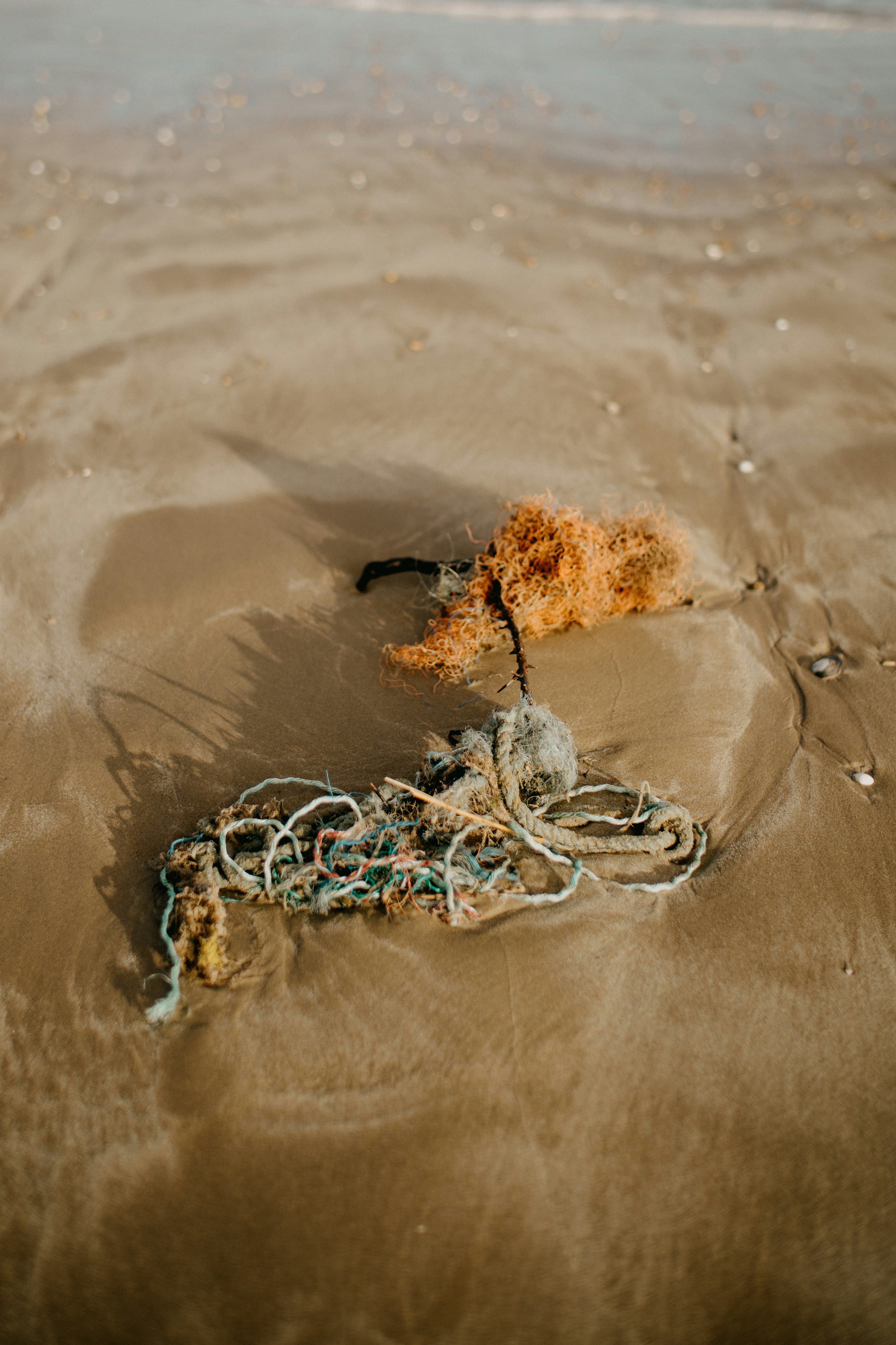 Photo by anniespratt