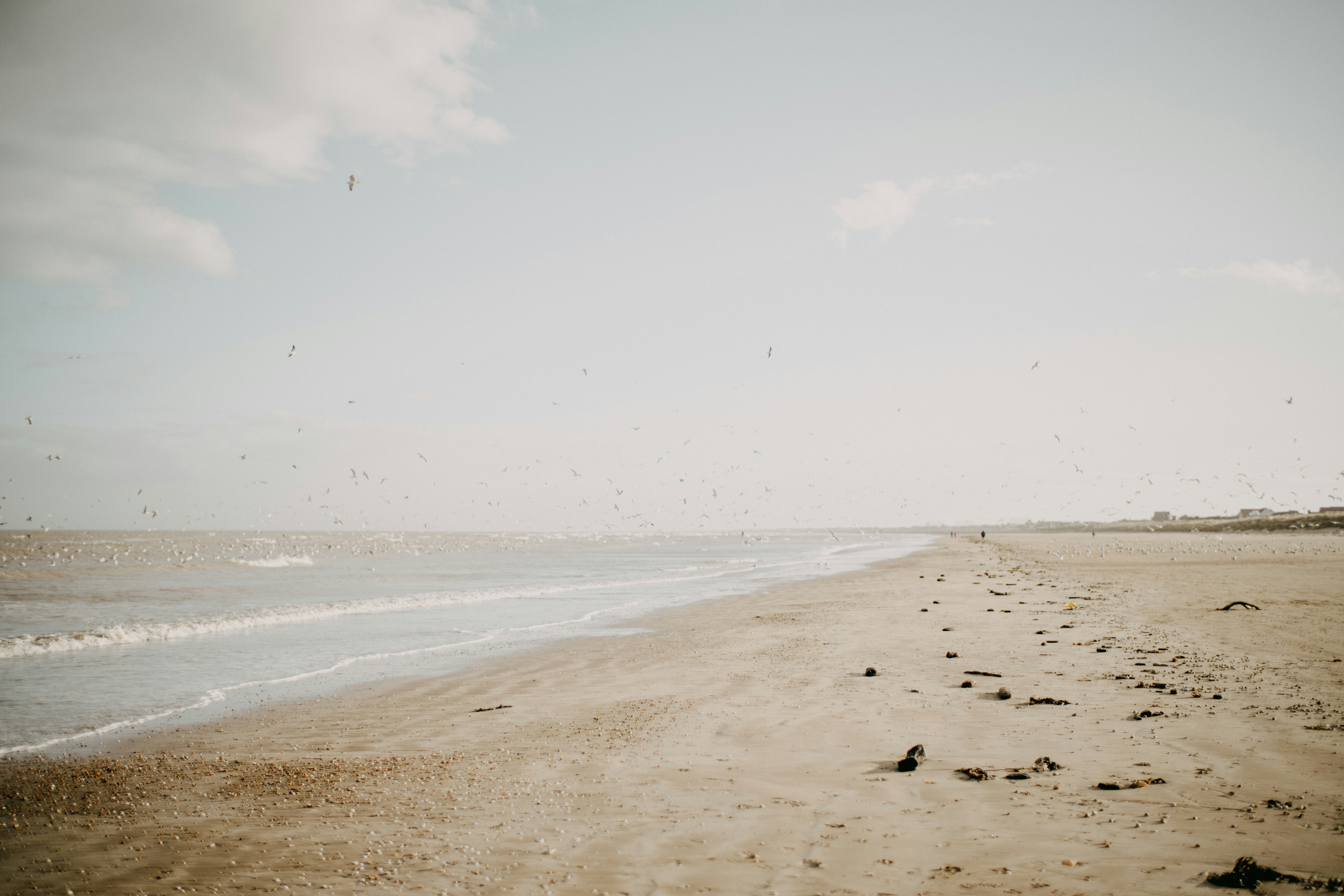 Photo by anniespratt