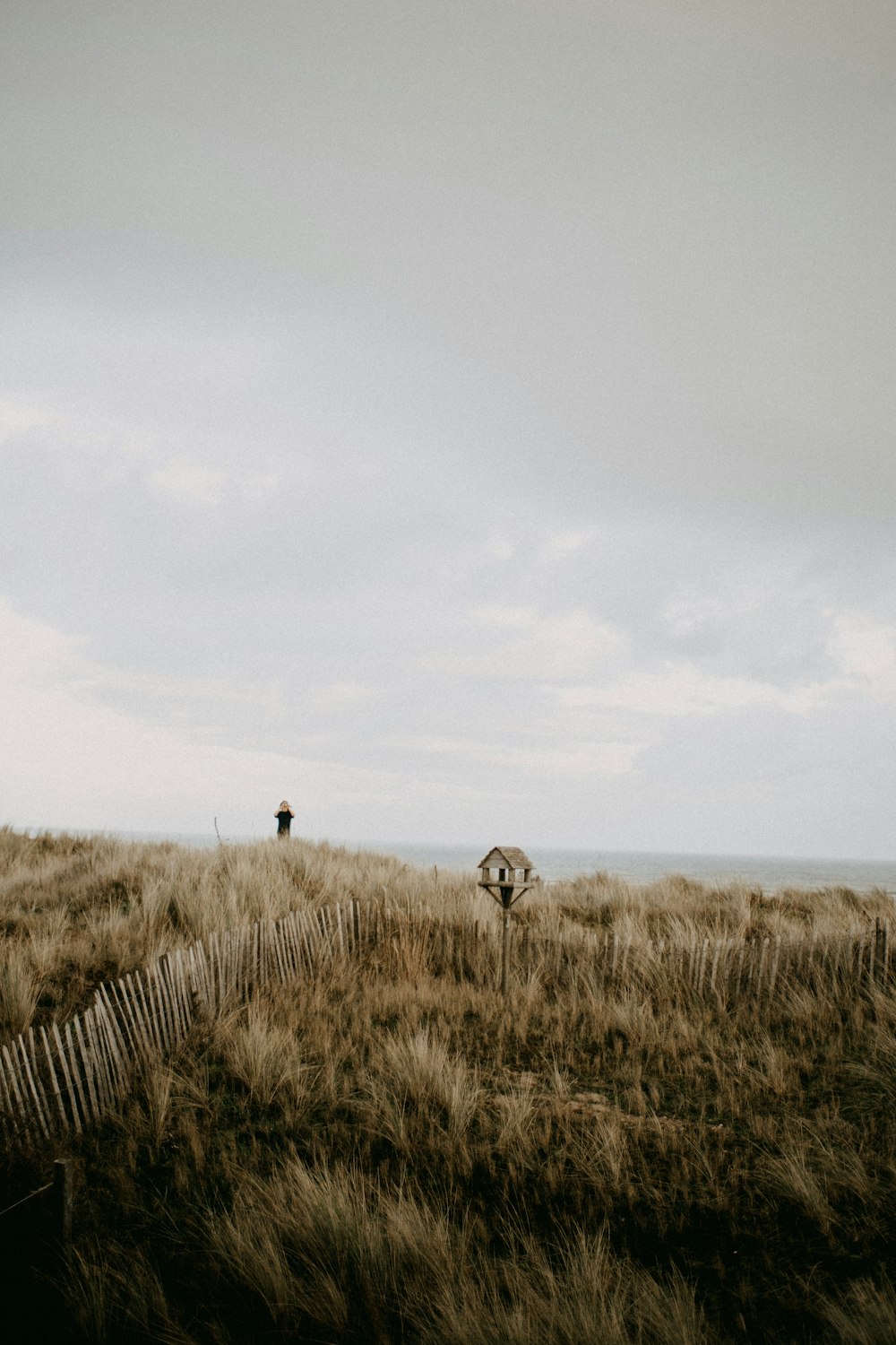 a person standing on top of a grass covered hill