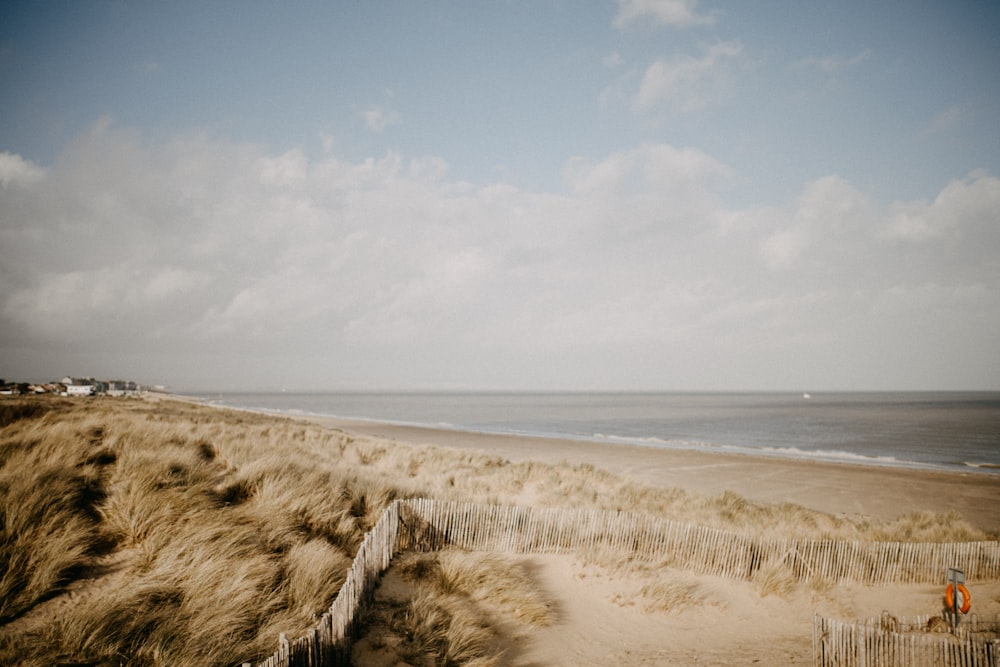 a sandy beach next to the ocean under a cloudy sky