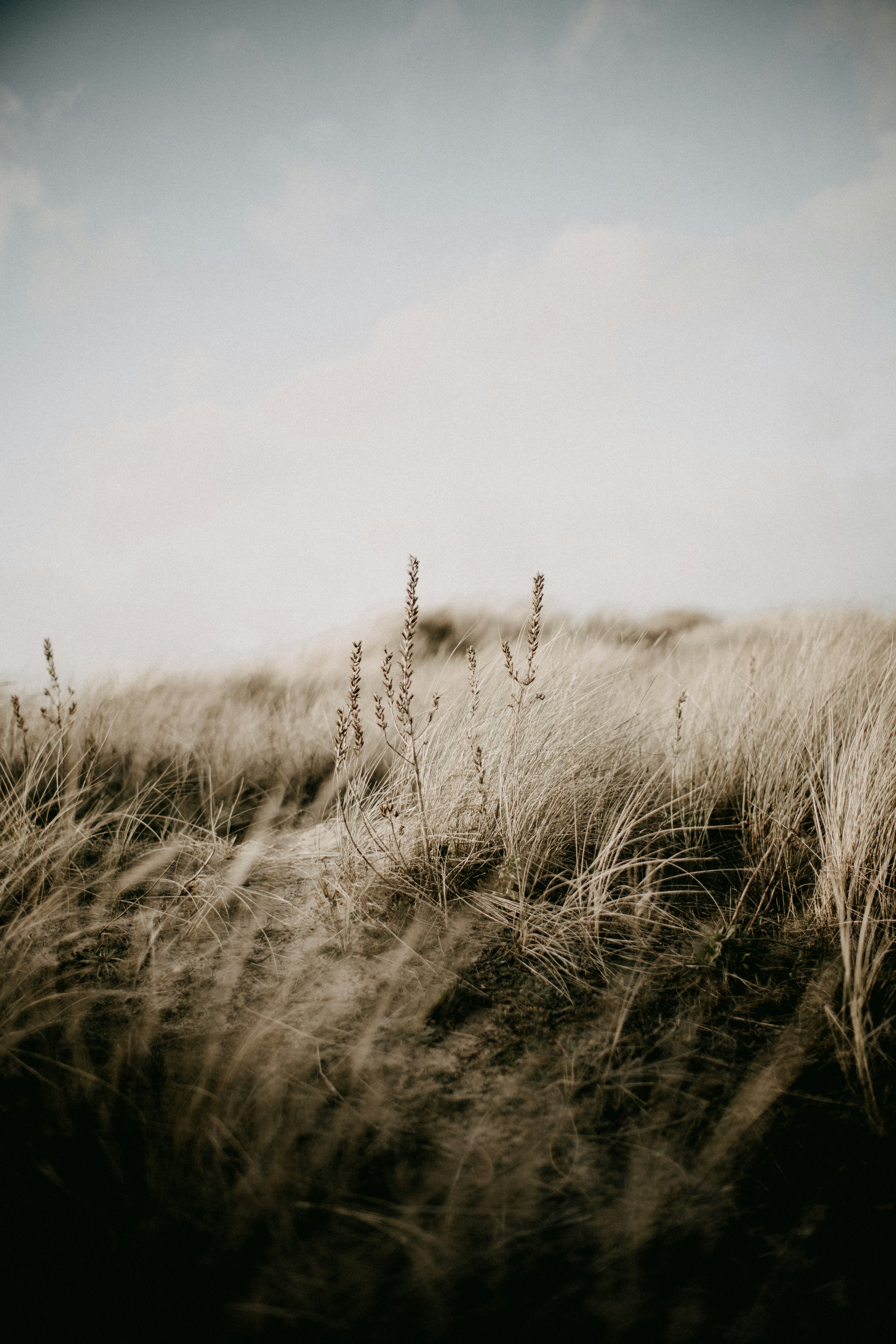 Photo by anniespratt