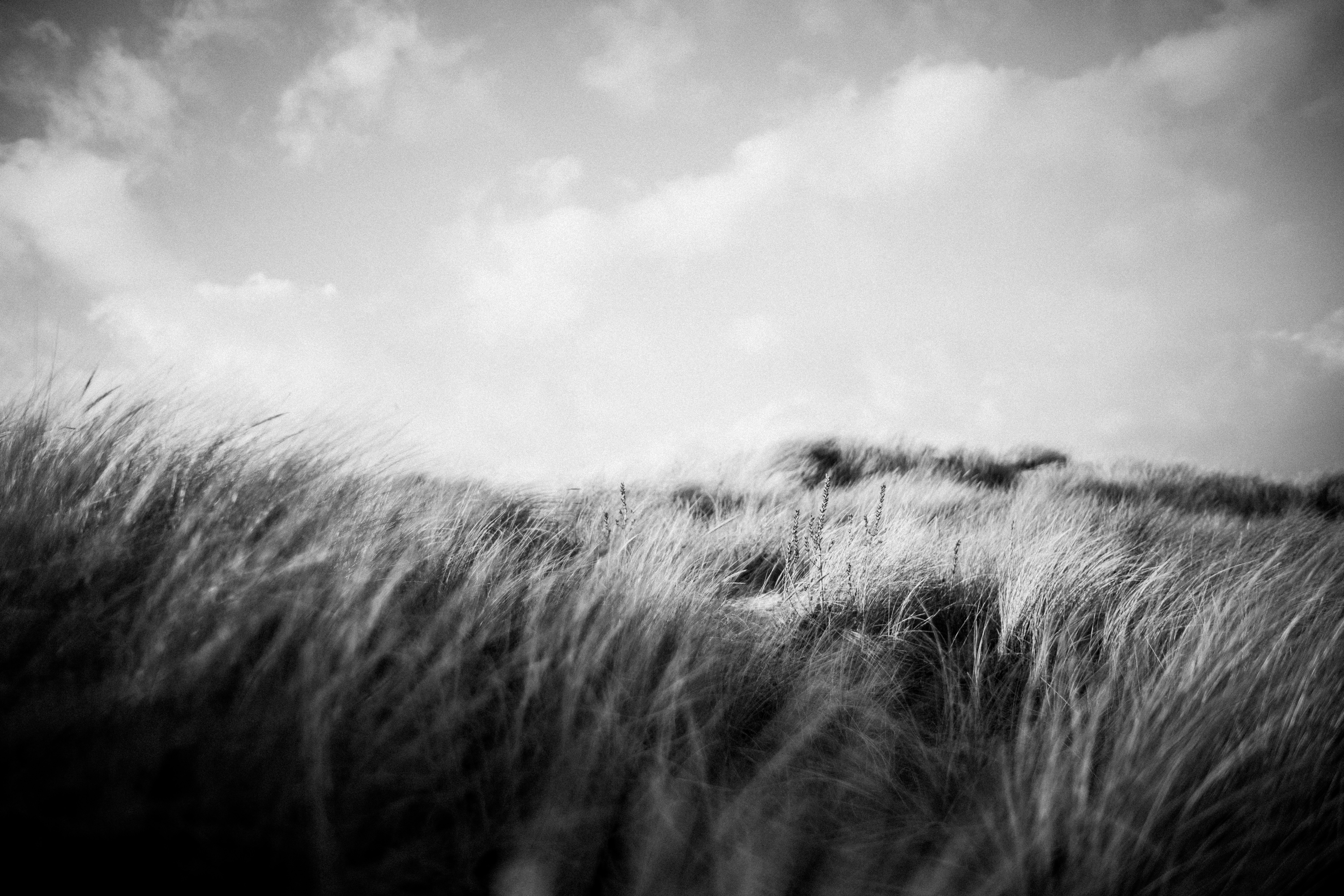 Photo by anniespratt