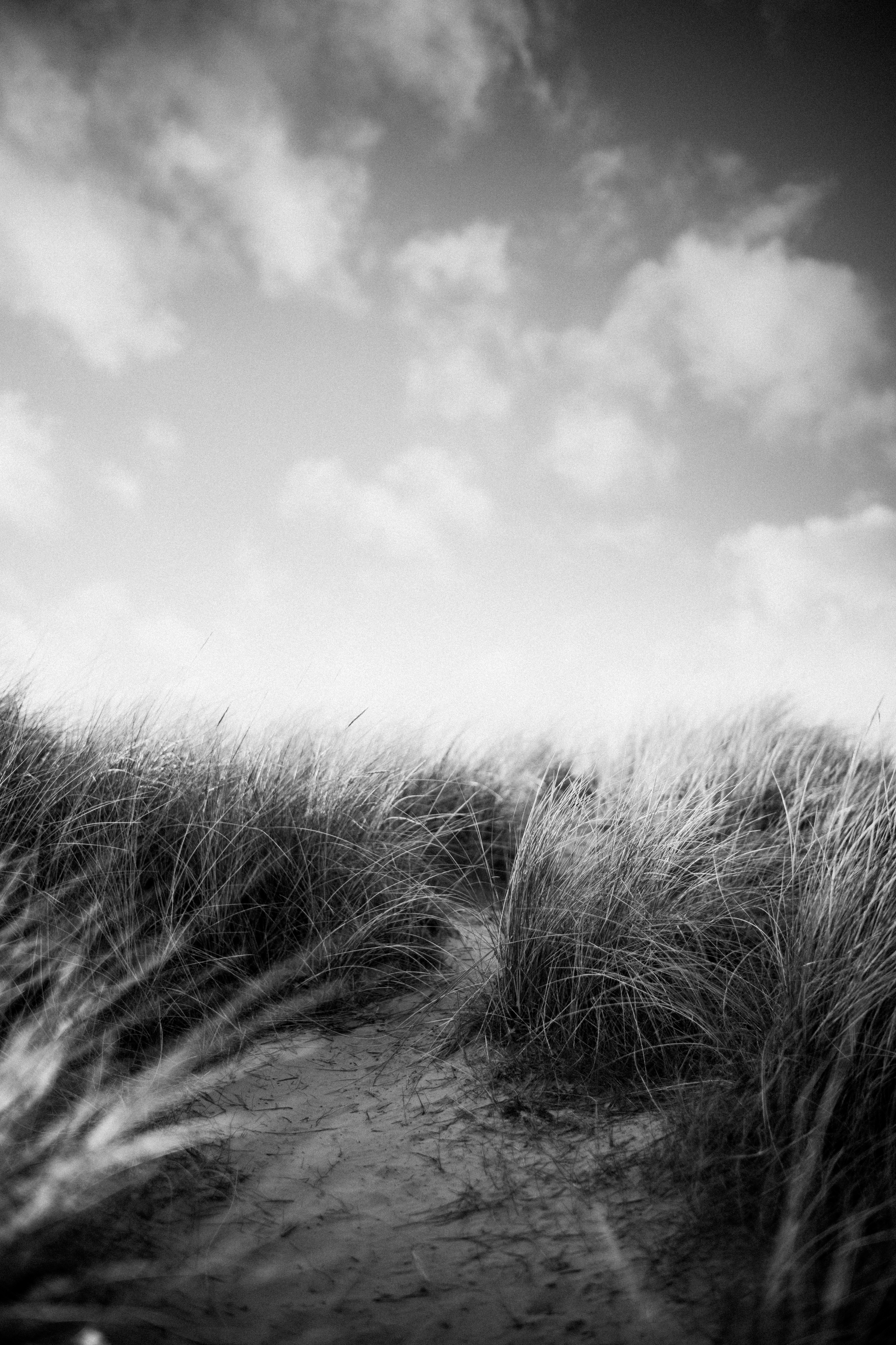 Photo by anniespratt