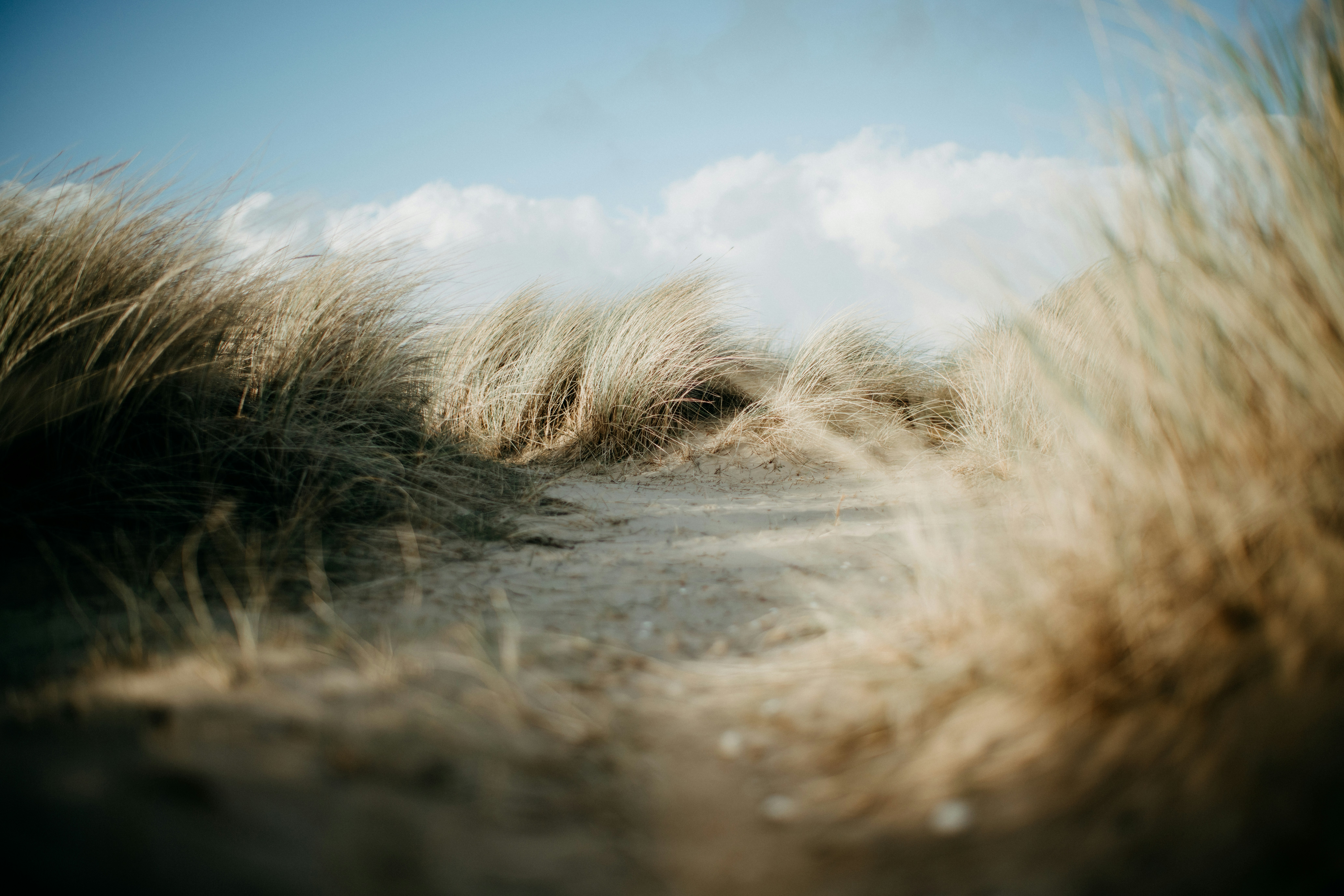 Photo by anniespratt