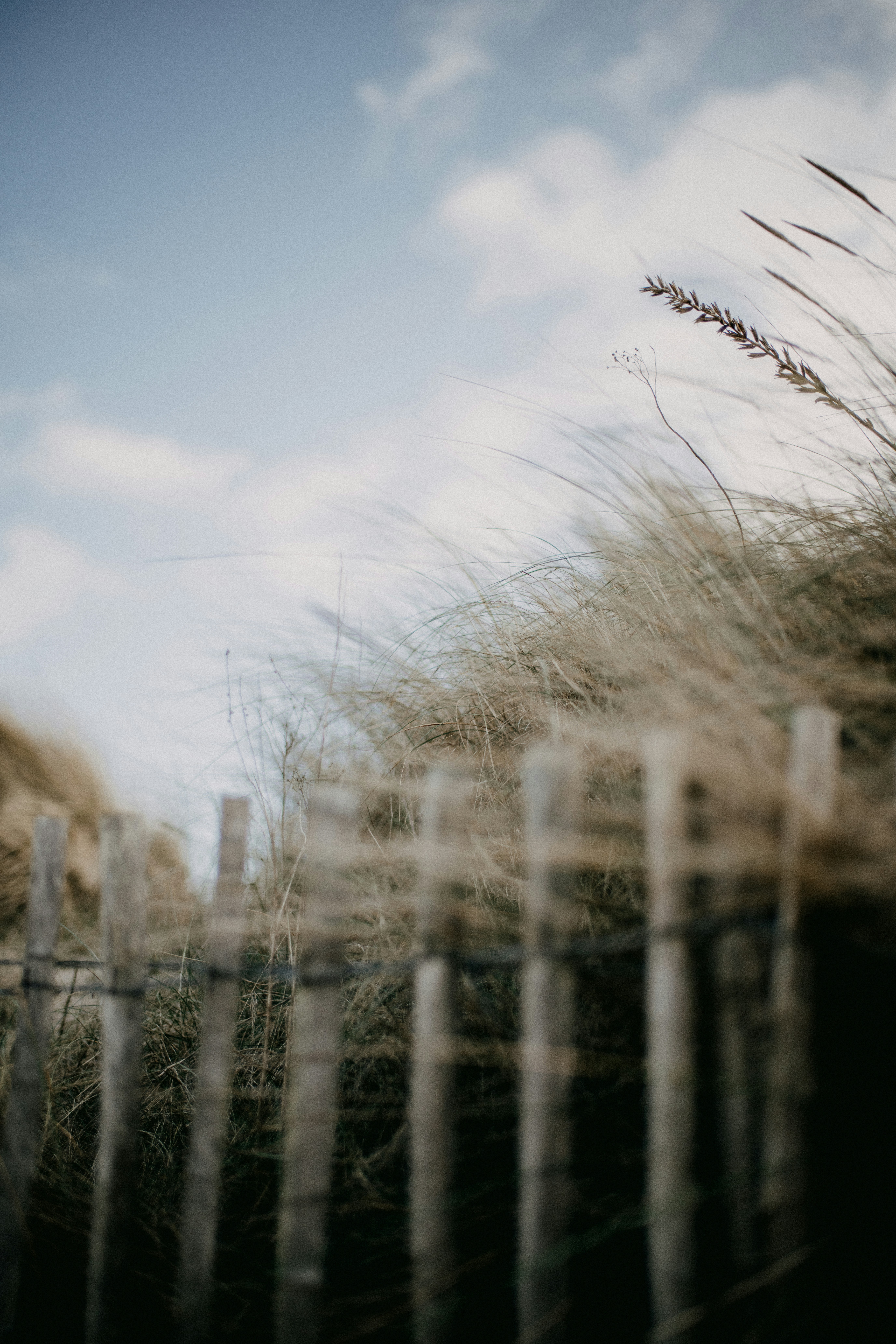 Photo by anniespratt