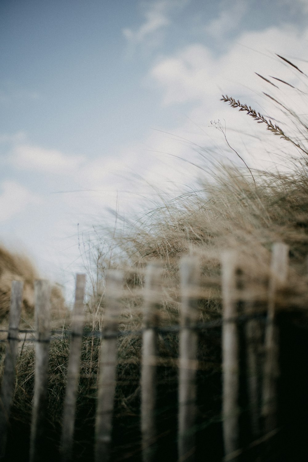 a fence that has some grass on top of it