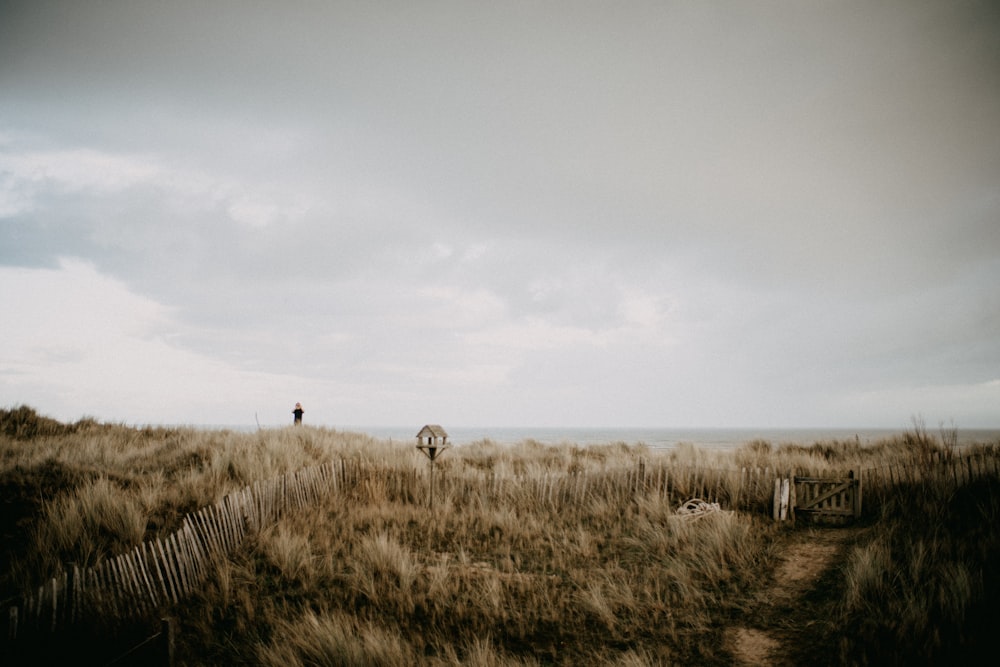 a person standing in the middle of a field