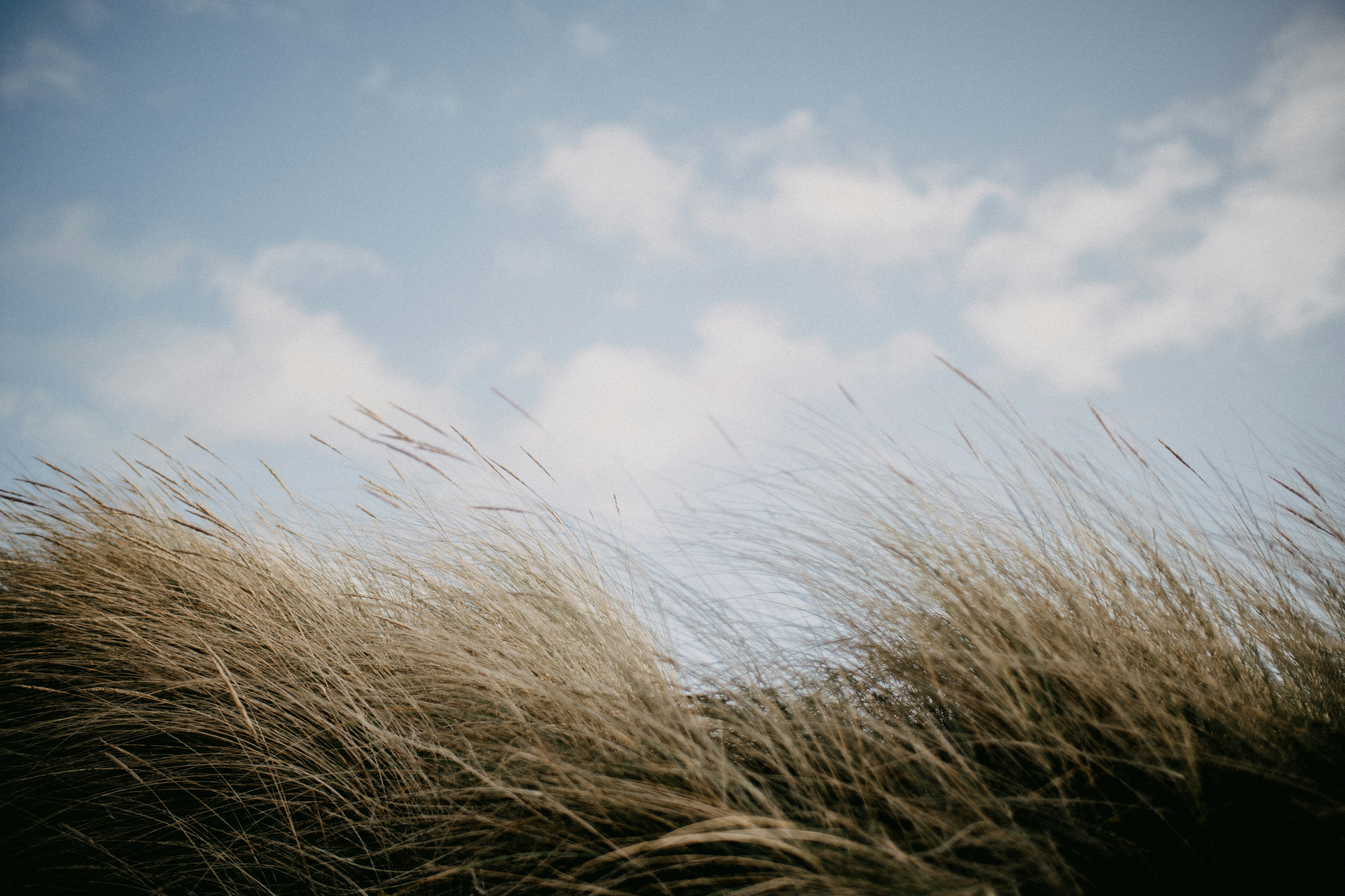 Photo by anniespratt