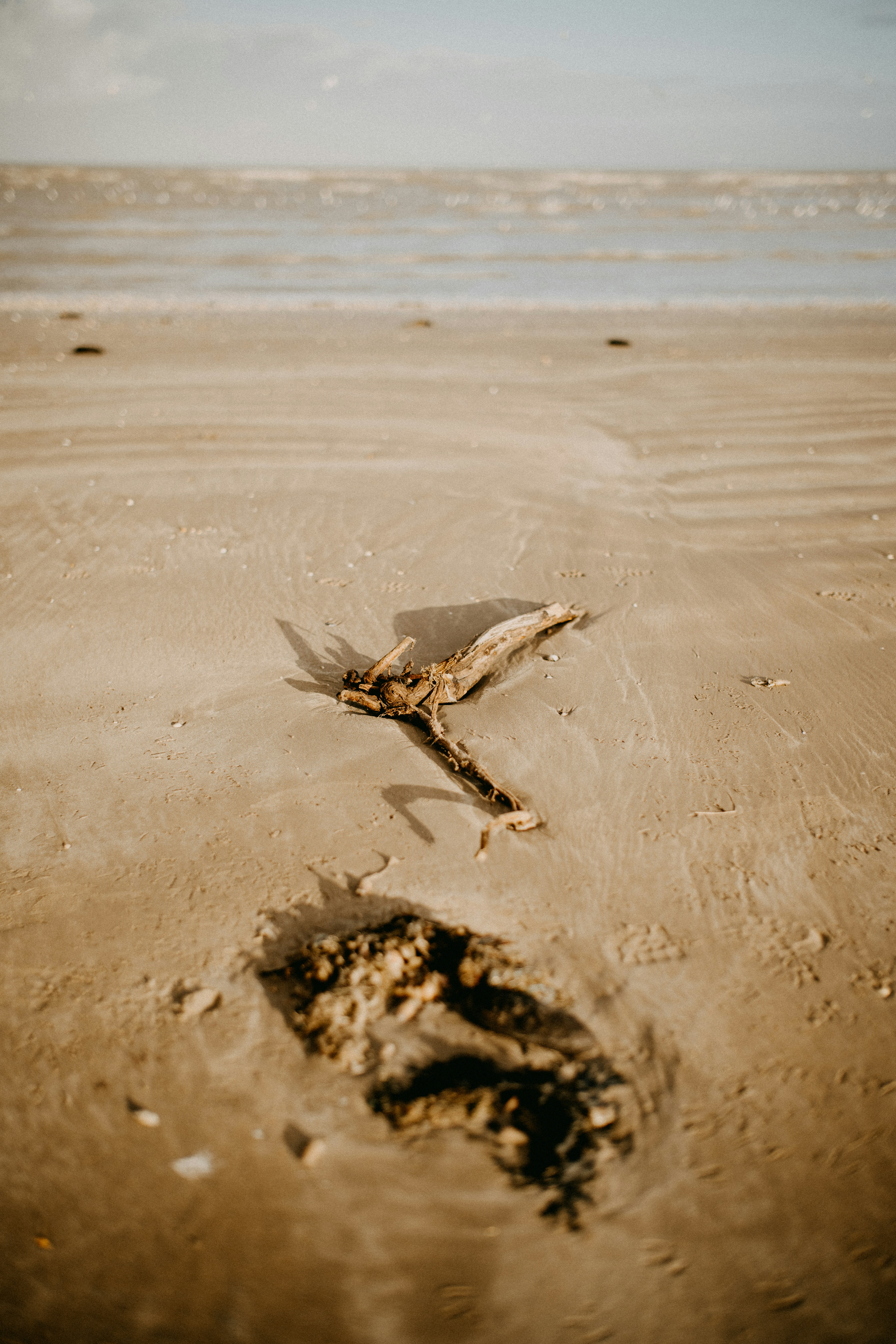 Photo by anniespratt