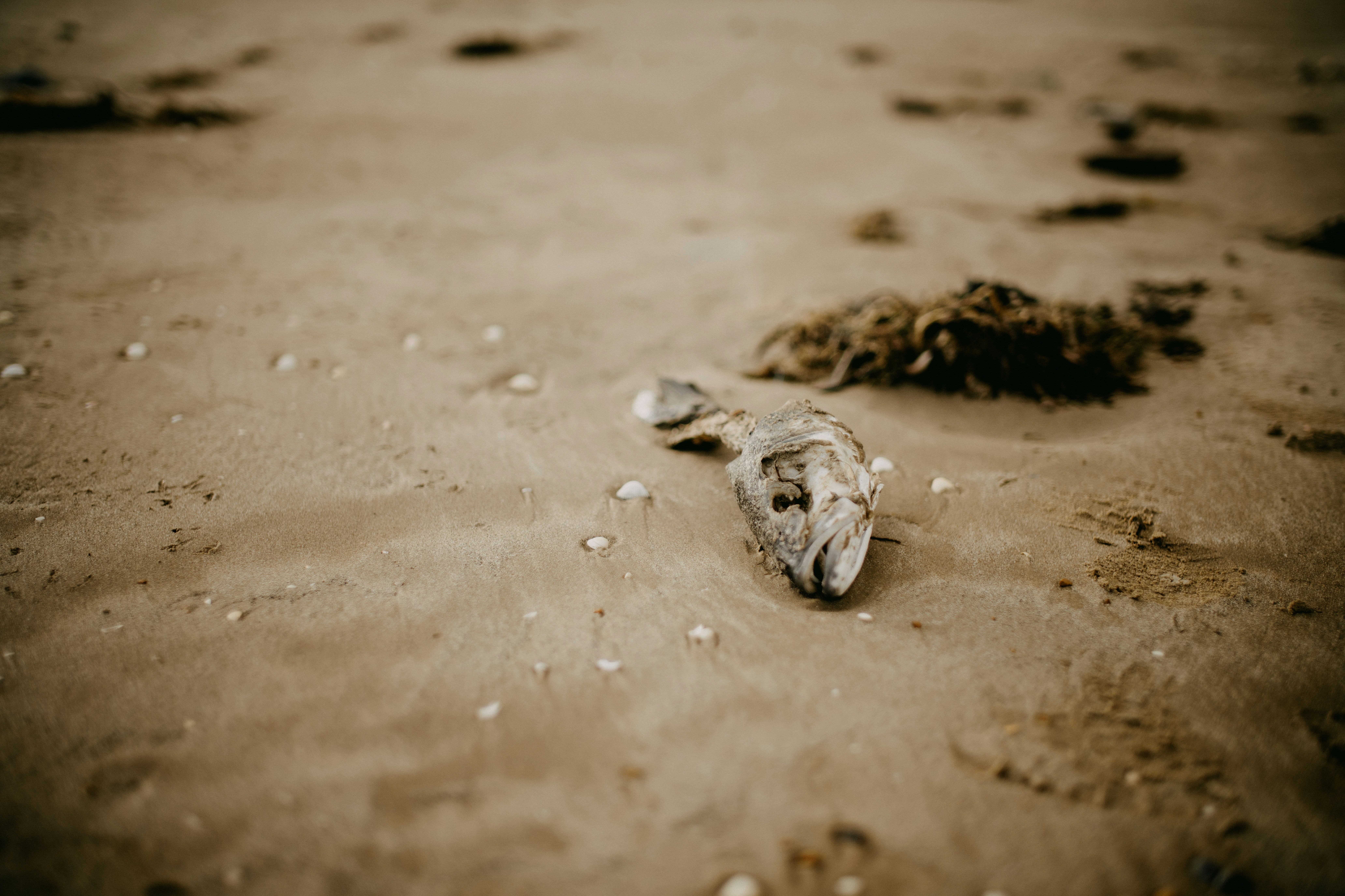 Photo by anniespratt