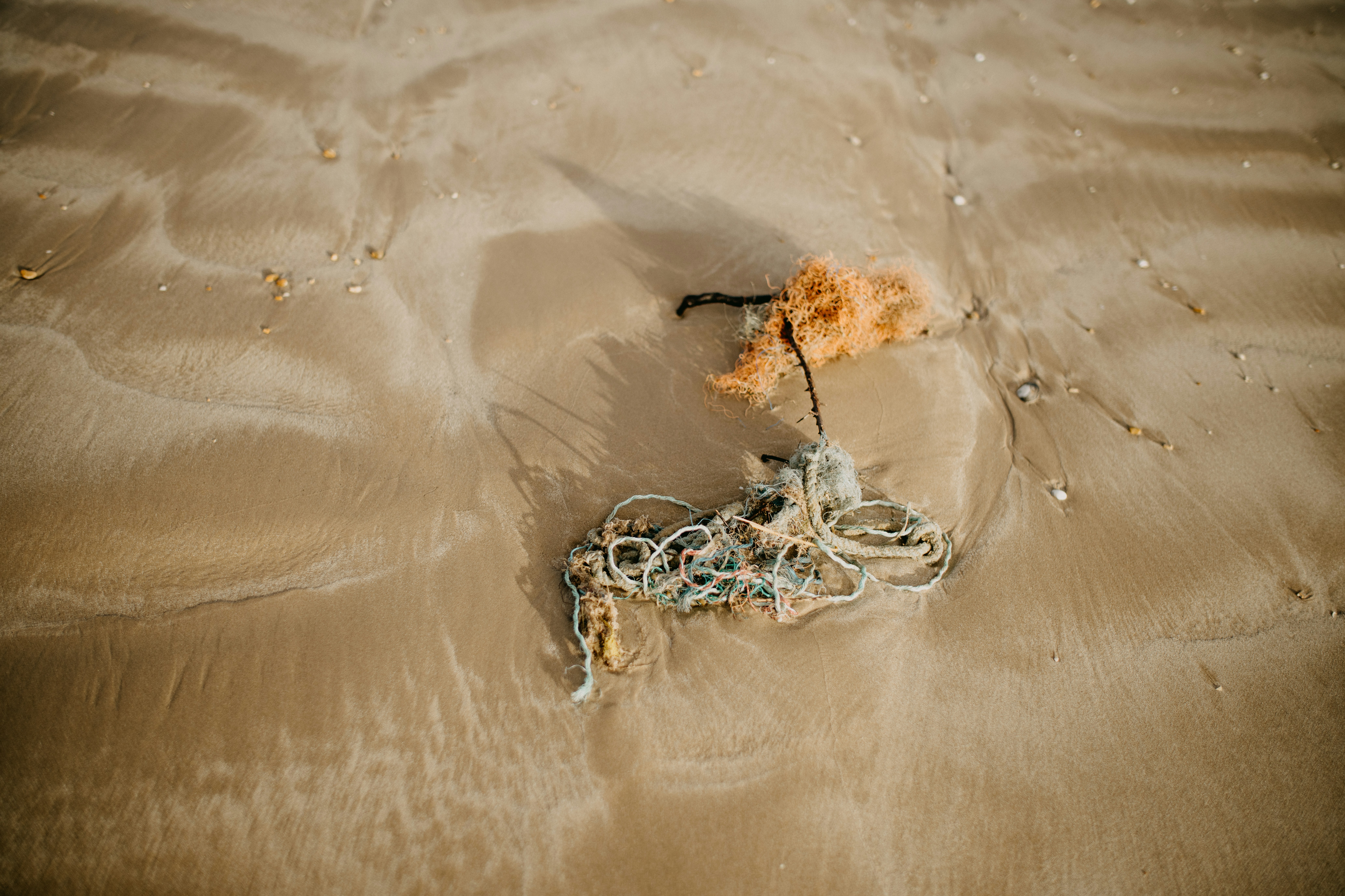 Photo by anniespratt