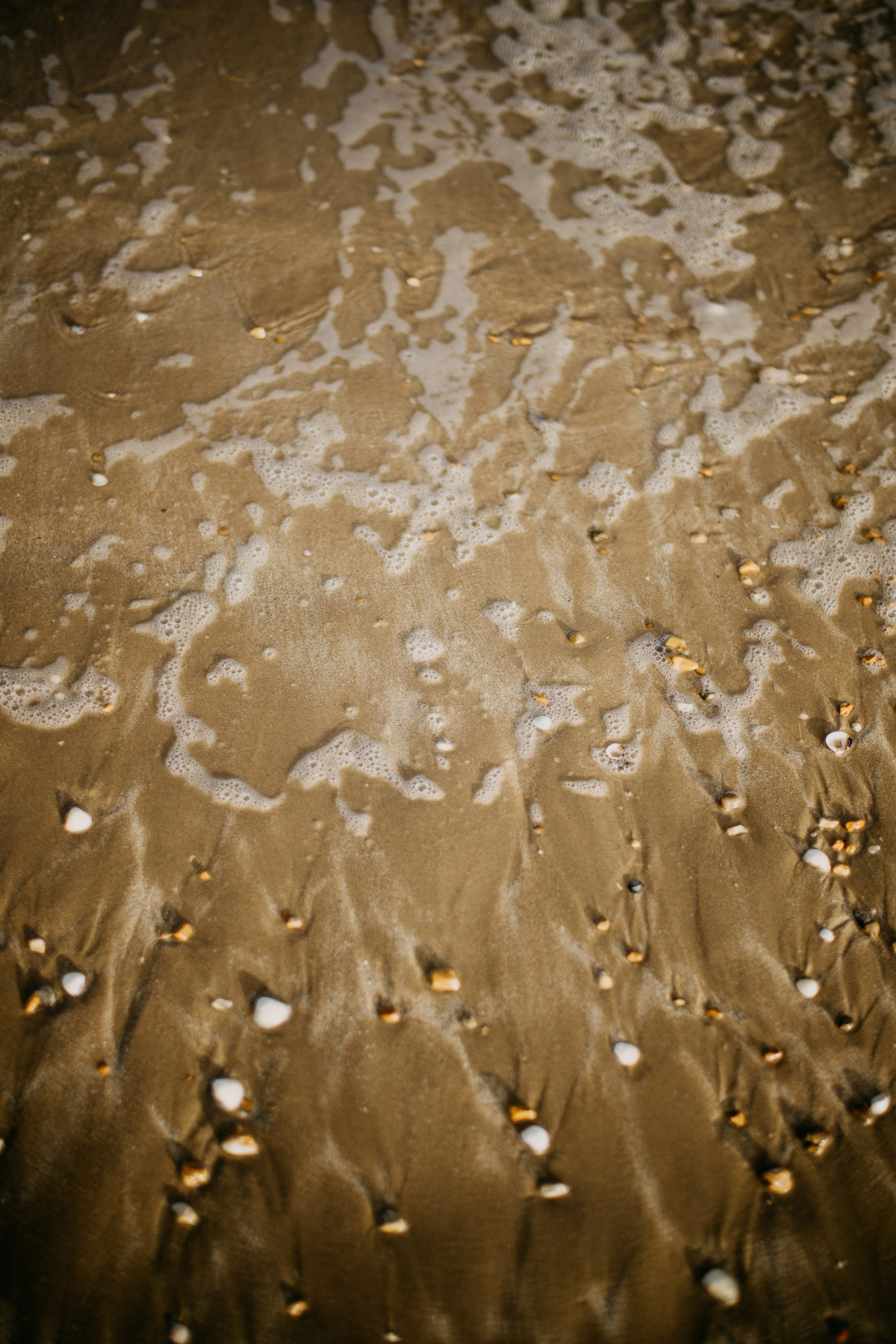 Photo by anniespratt