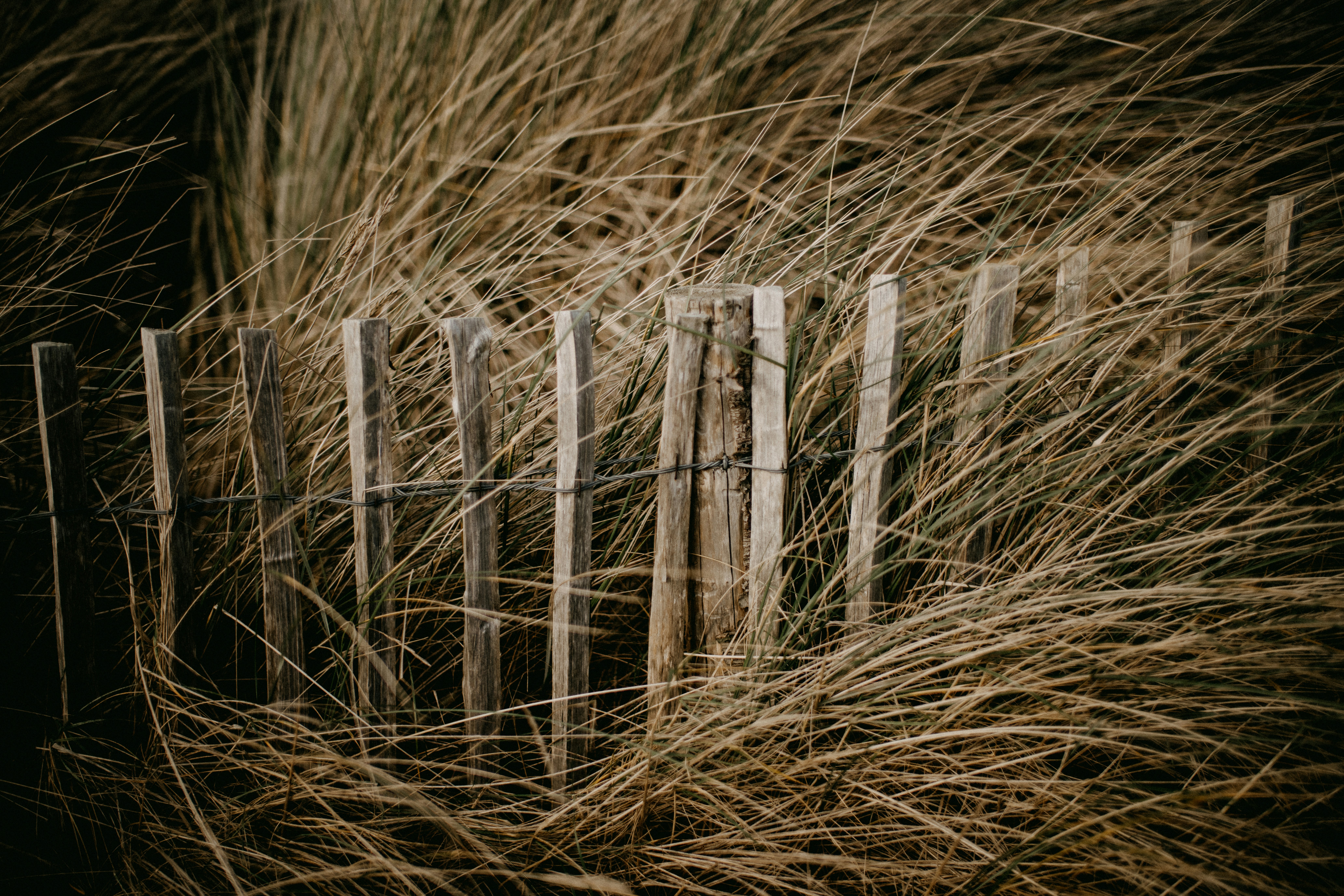 Photo by anniespratt