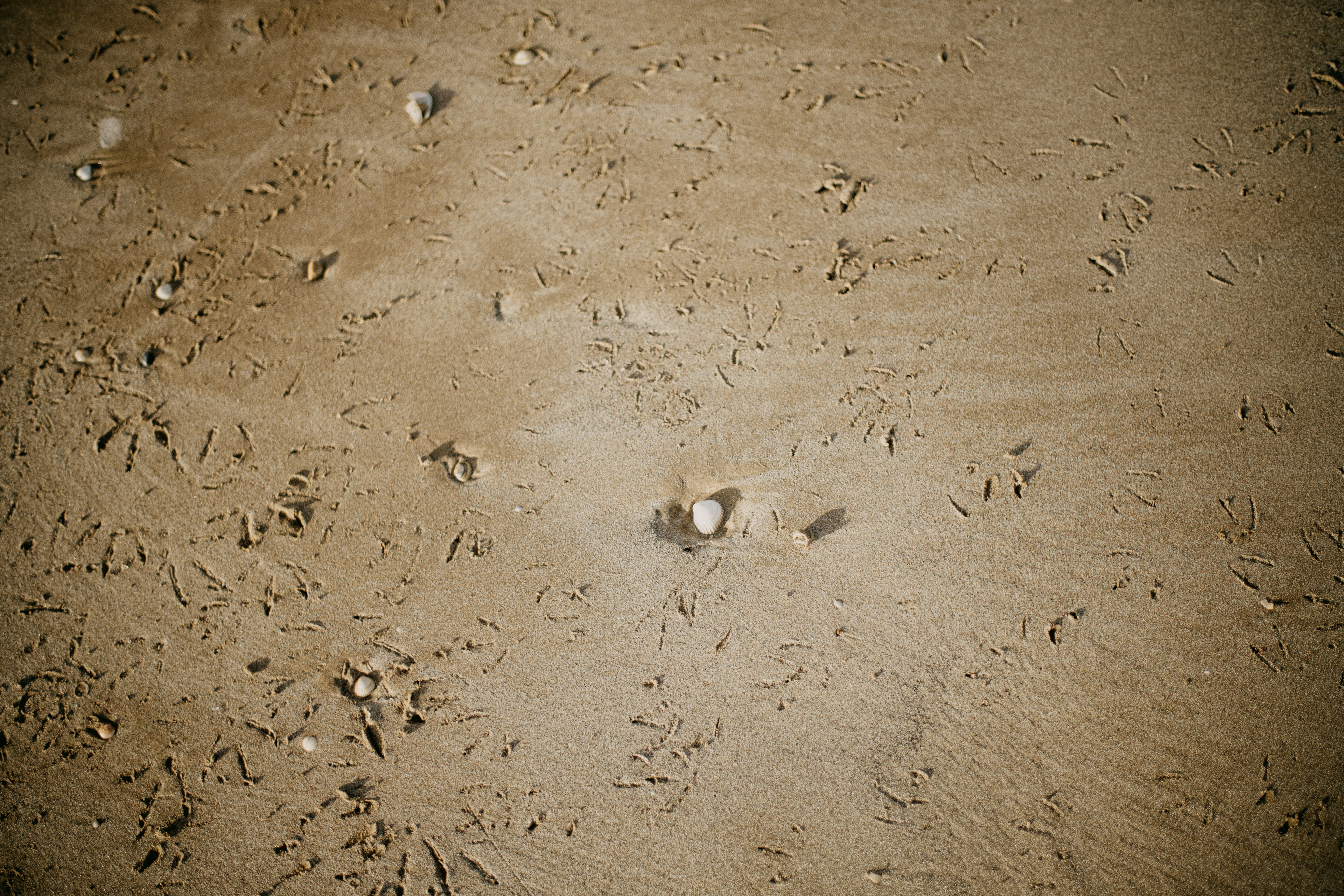 Photo by anniespratt