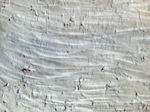 a close up of a rock wall with small cracks in it