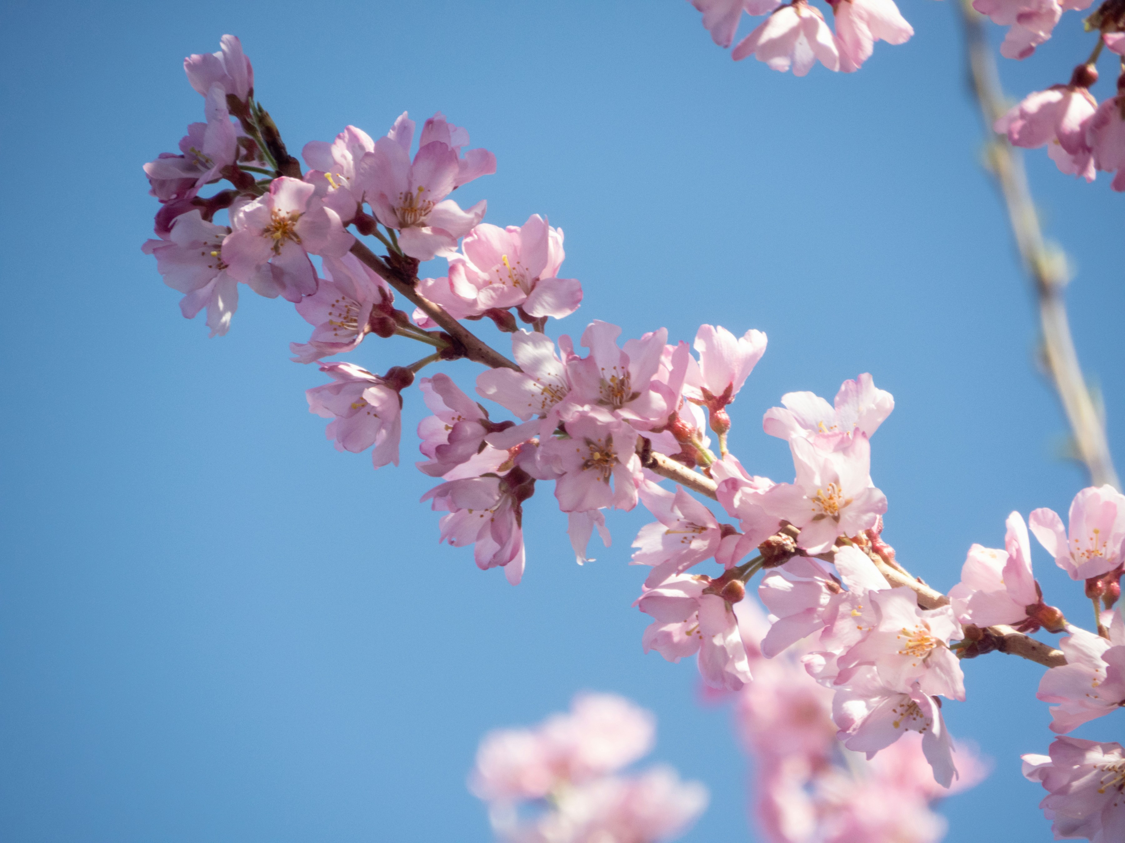 Photo by heppoko_yama