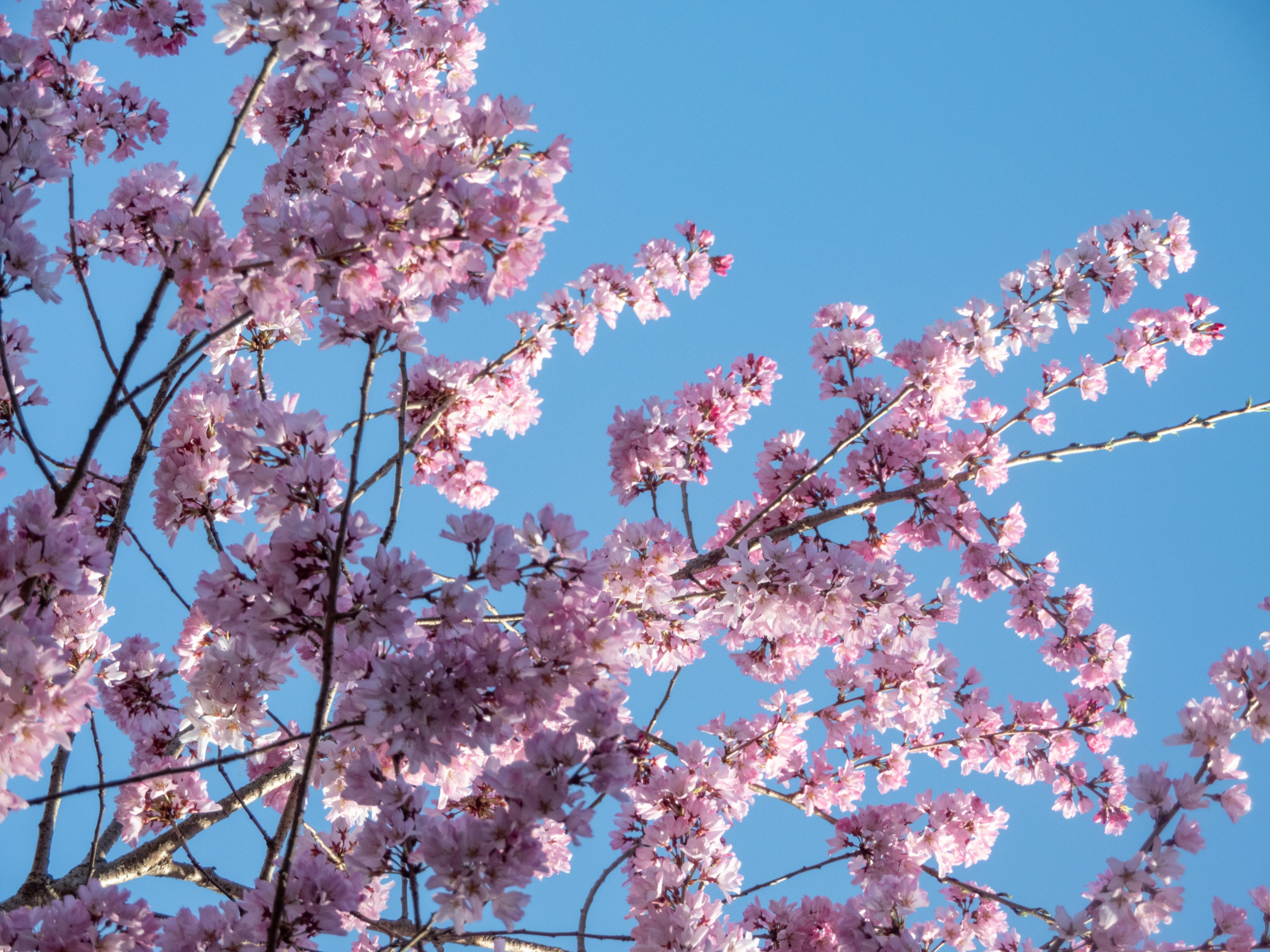 Photo by heppoko_yama