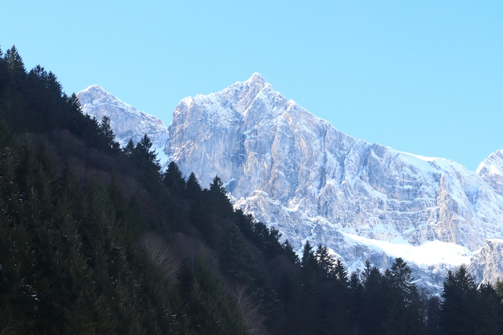 a view of a mountain range with trees in the foreground