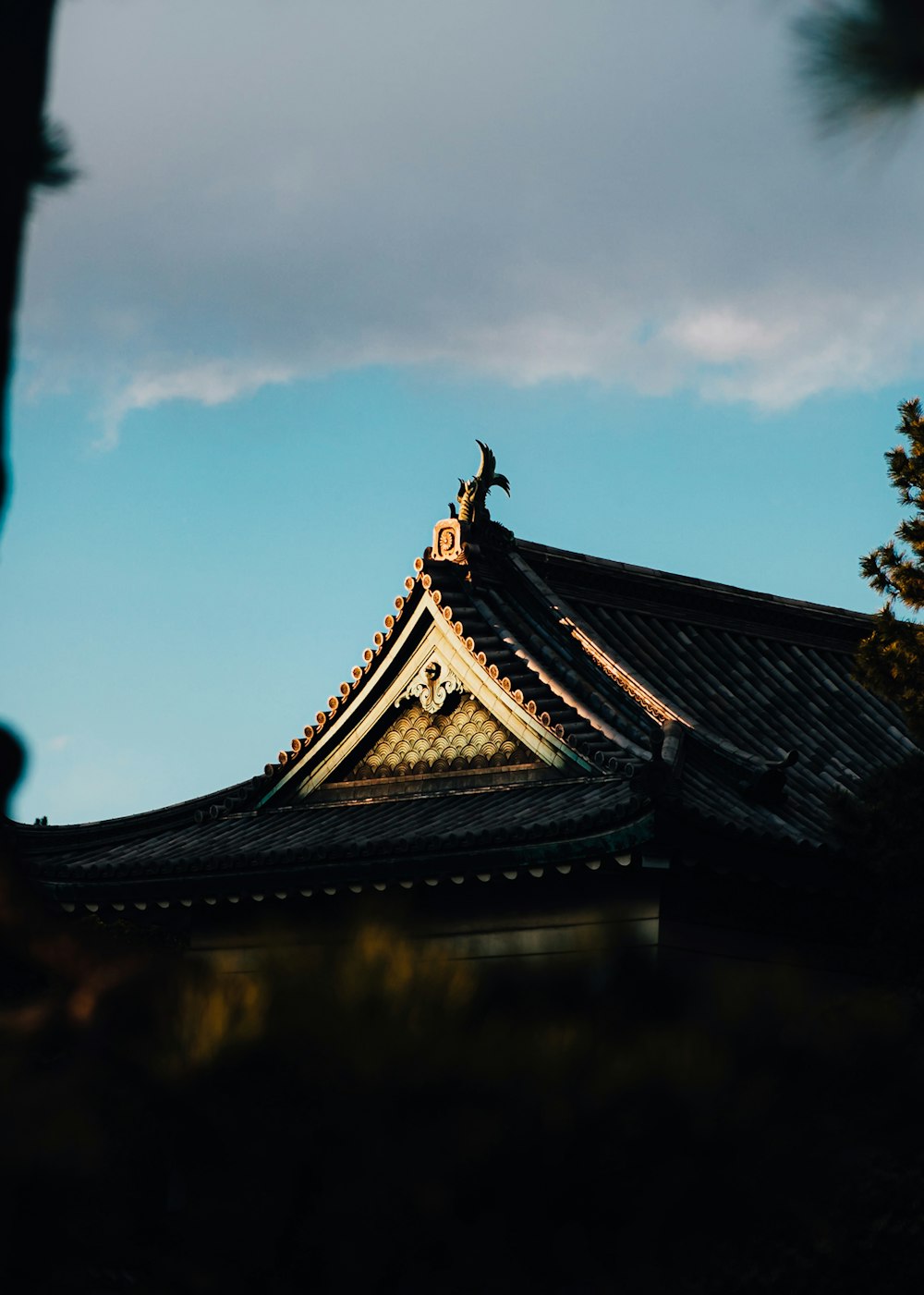 a roof with a bird on top of it