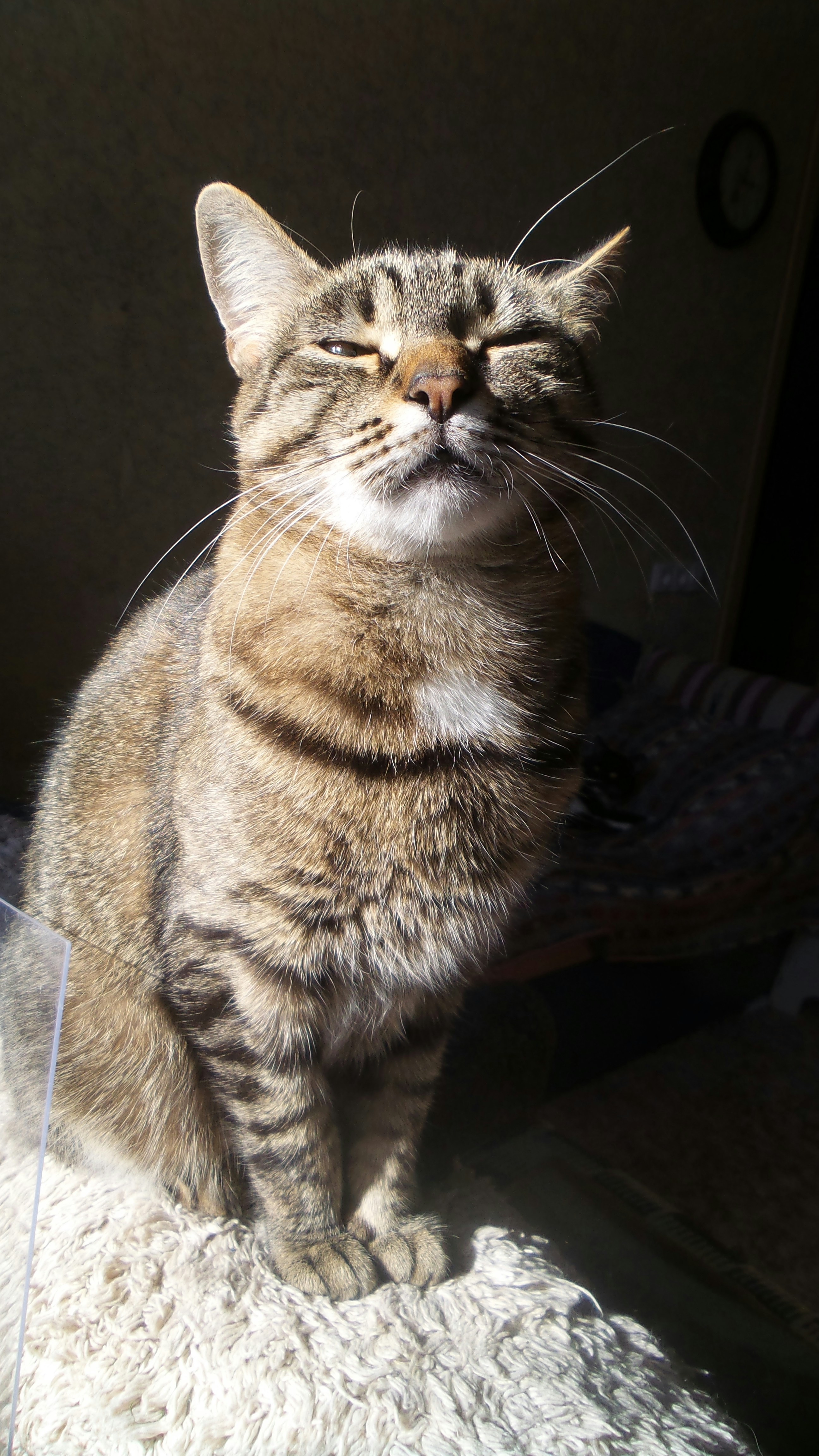 Photo by valentina_19