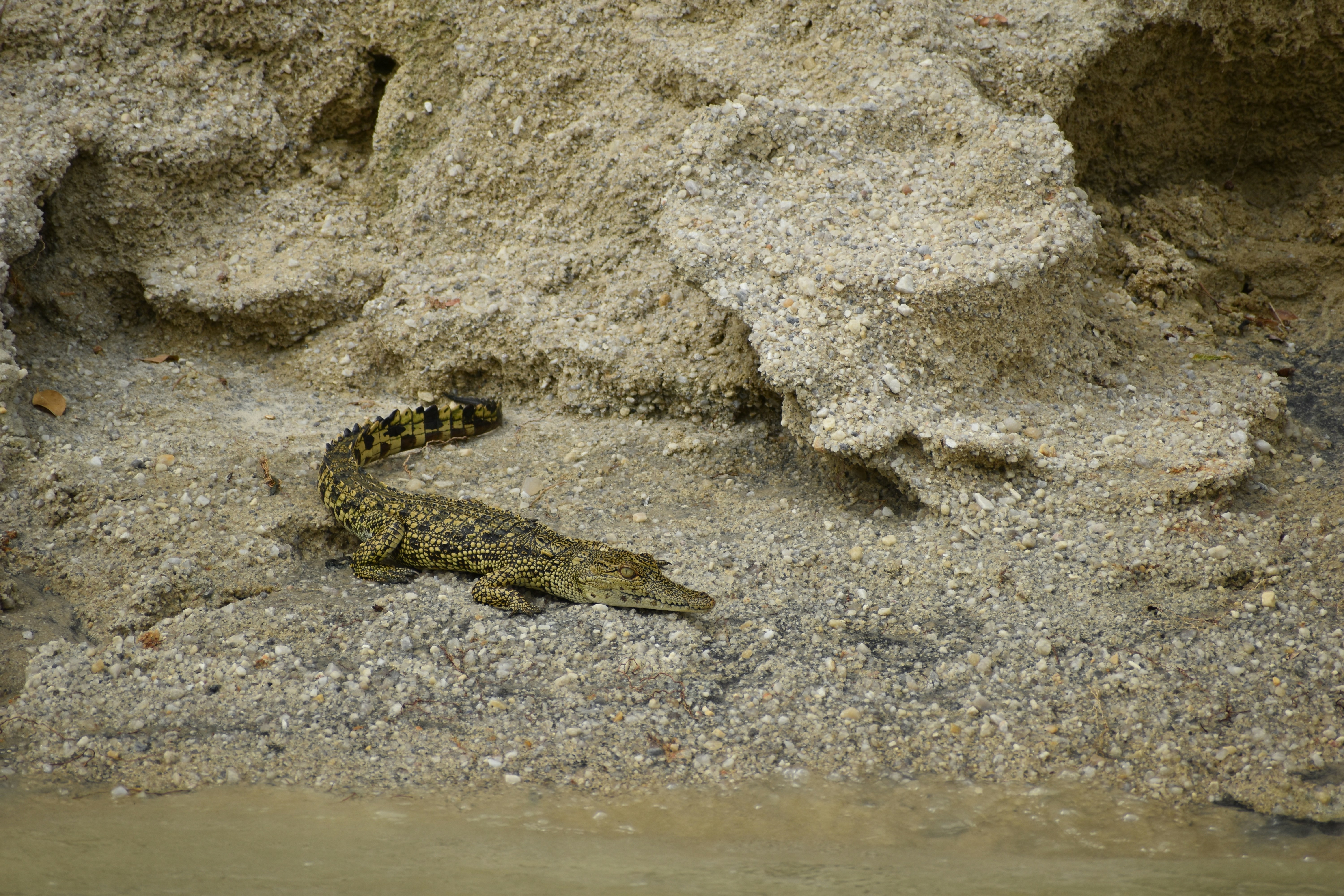 Size Matters: The Smaller, The Higher (image credits: unsplash)