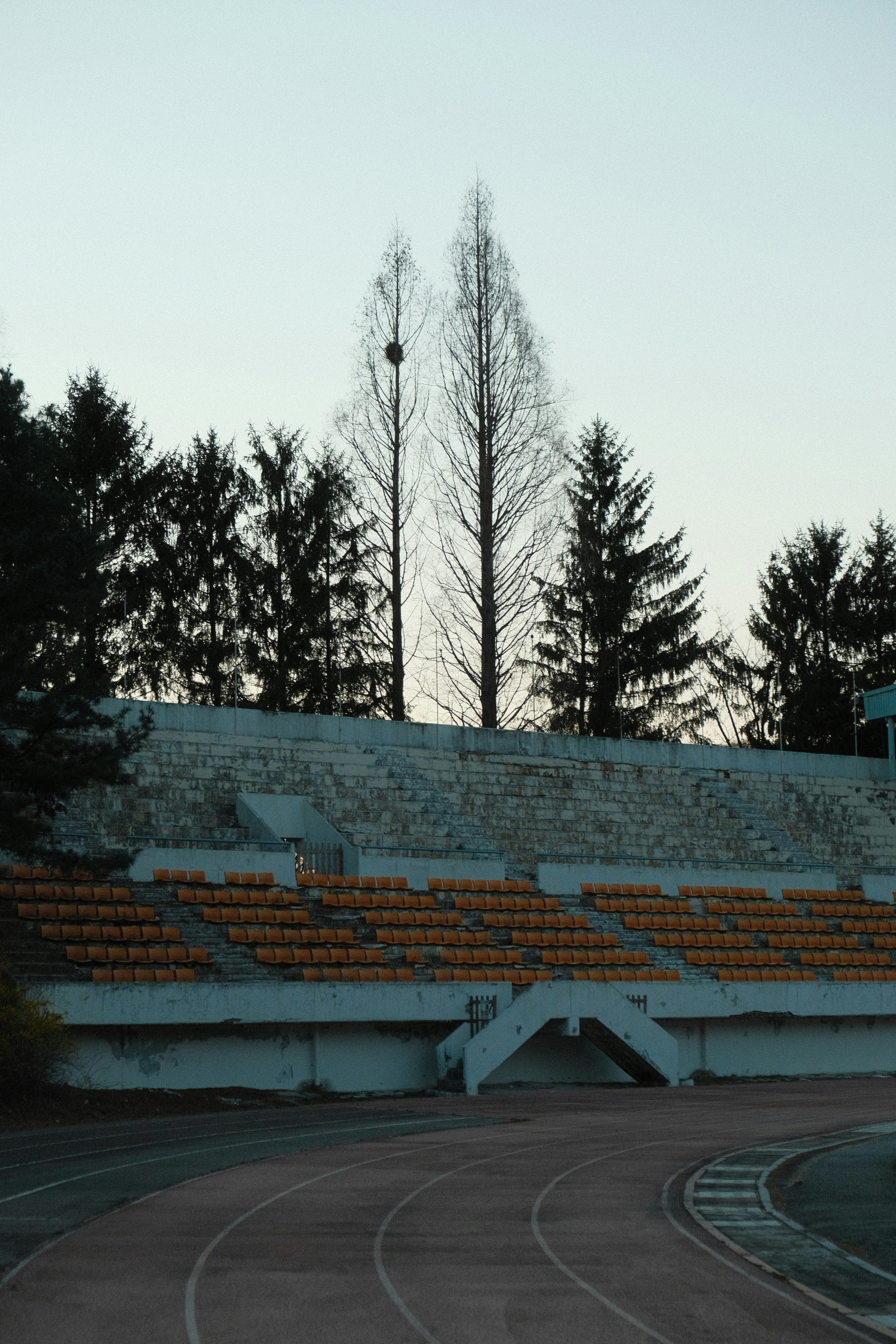 ein leeres Stadion mit Sitzreihen und Bäumen im Hintergrund