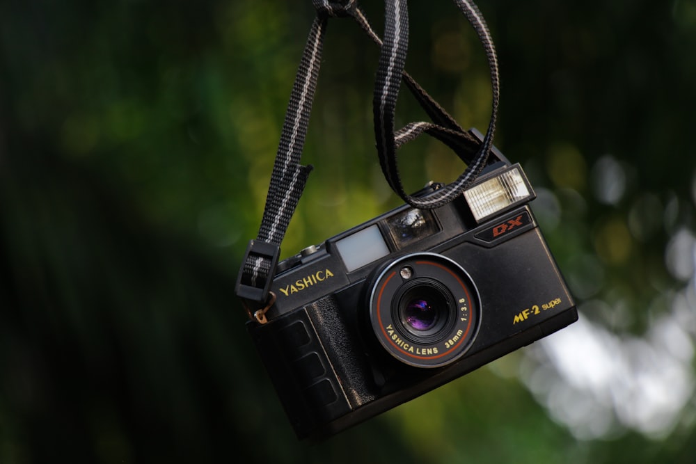 a camera hanging from a tree branch