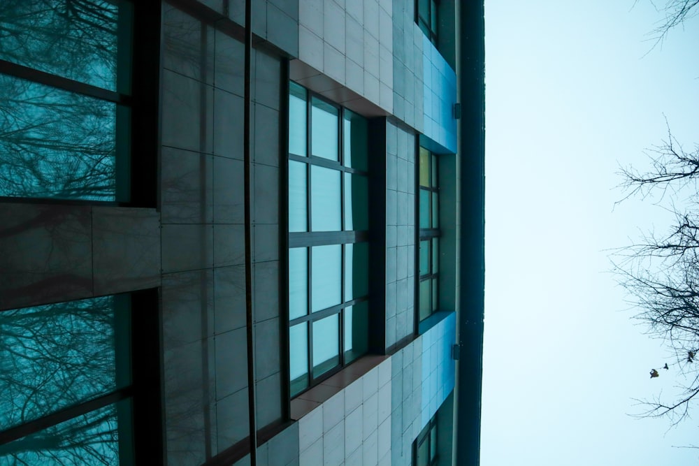 a tall building with lots of windows next to a tree