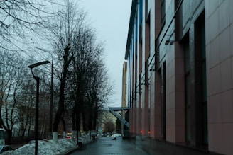 a street lined with tall buildings next to trees