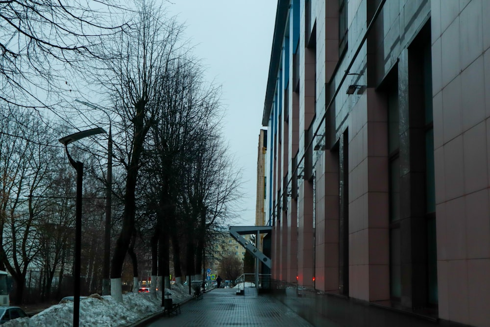 a street lined with tall buildings next to trees