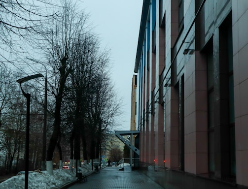 a street lined with tall buildings next to trees