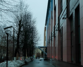 a street lined with tall buildings next to trees