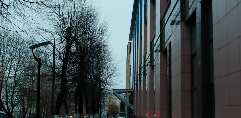 a street lined with tall buildings next to trees