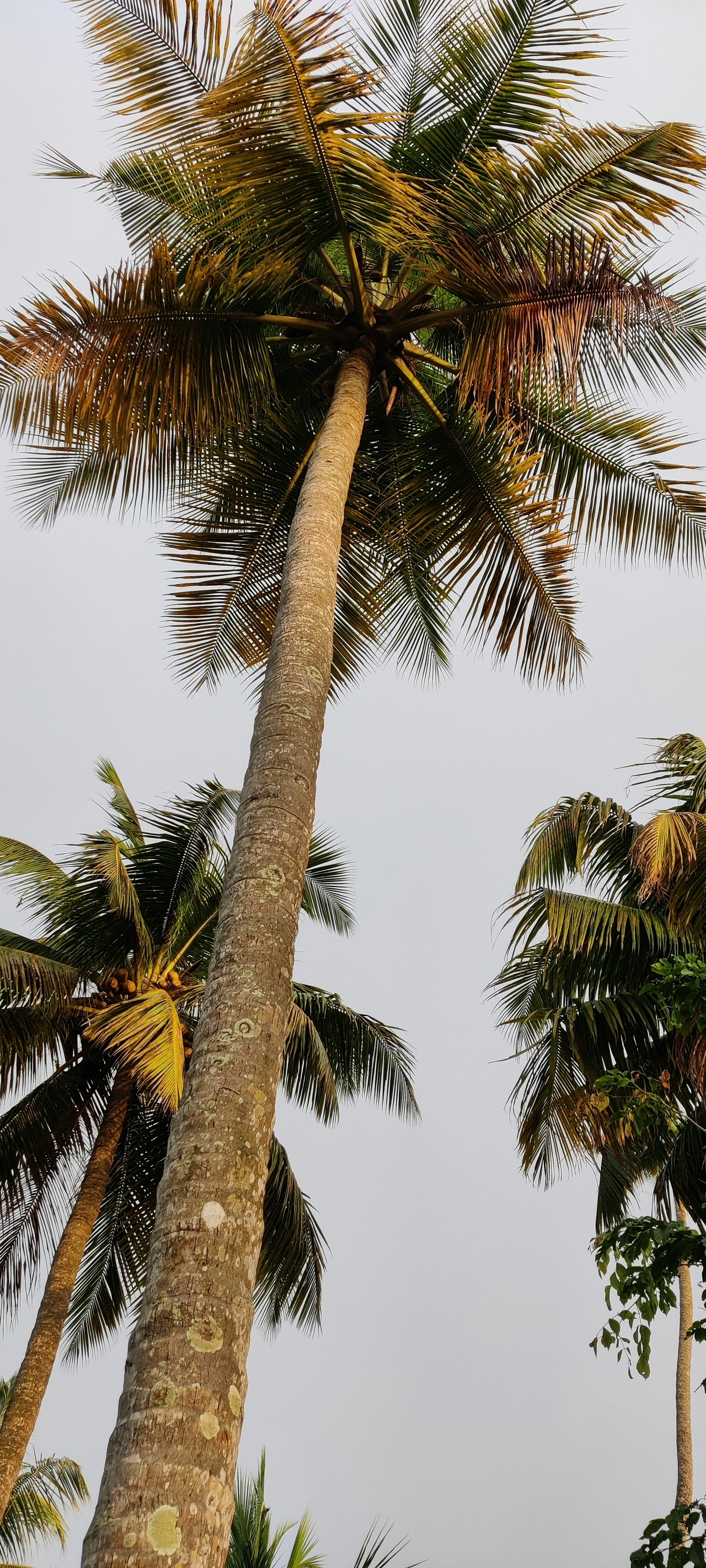 Photo by super_explorer