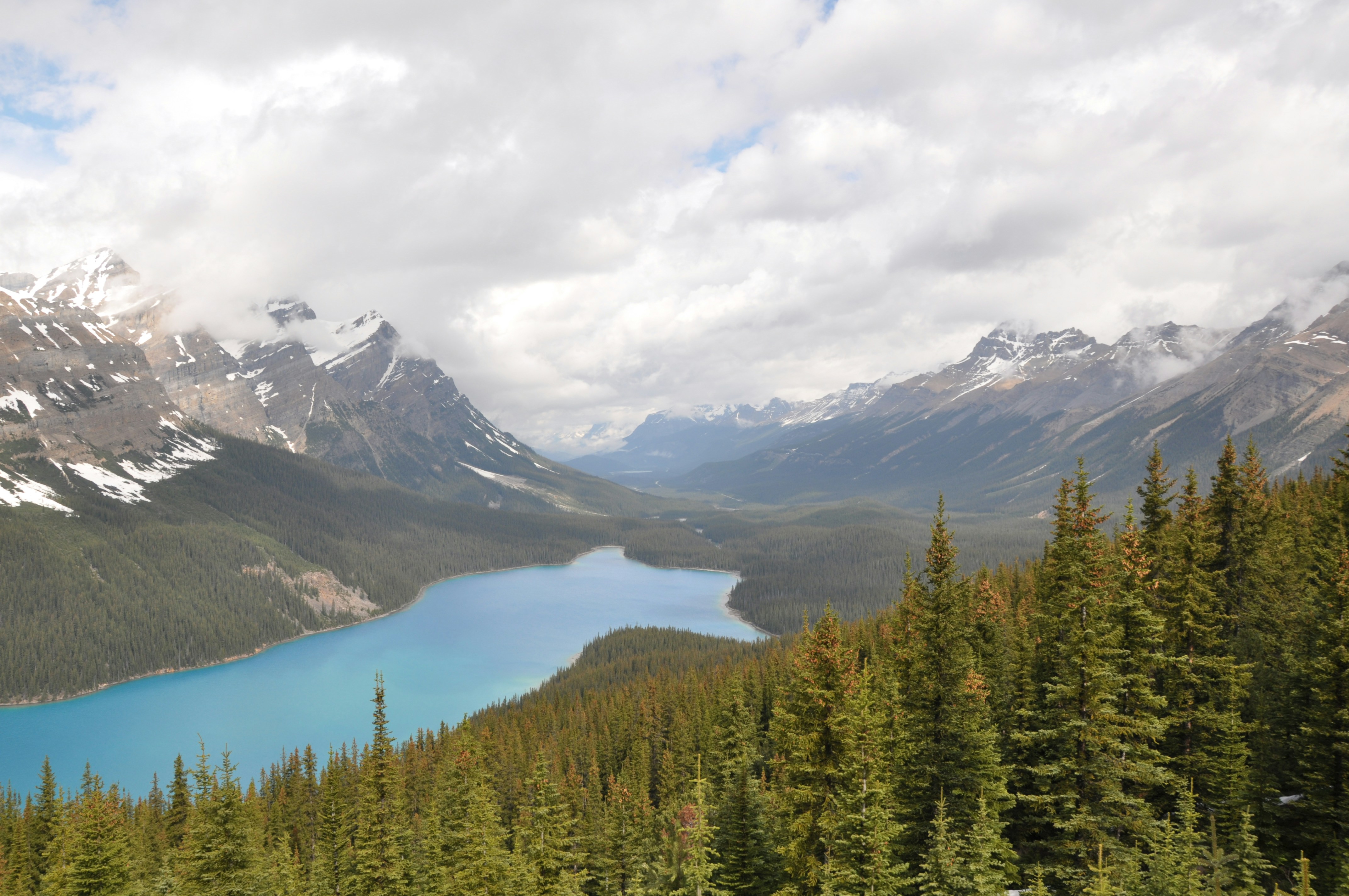 Photo by bobbymcgeelee