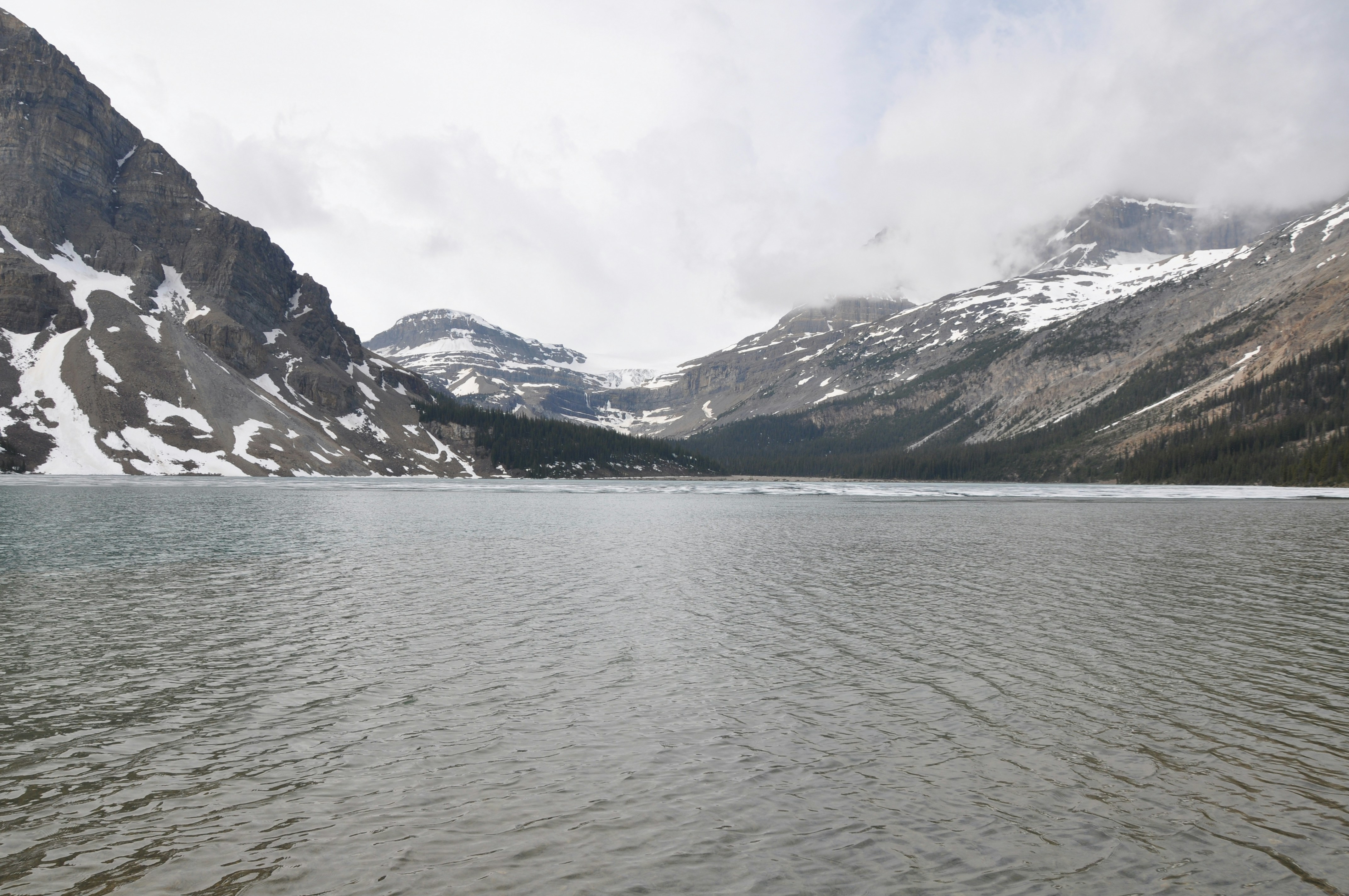 Photo by bobbymcgeelee