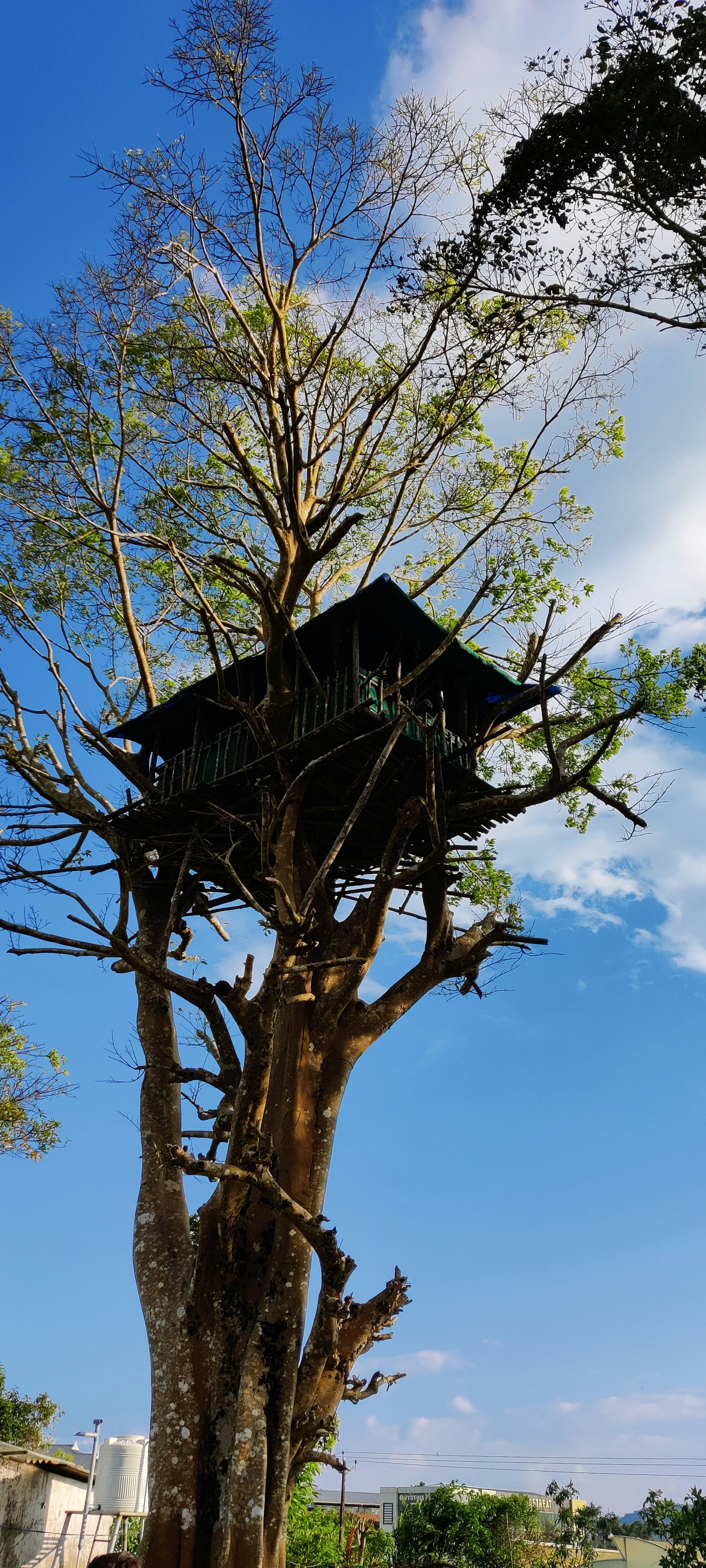 a tree house in the middle of a tree