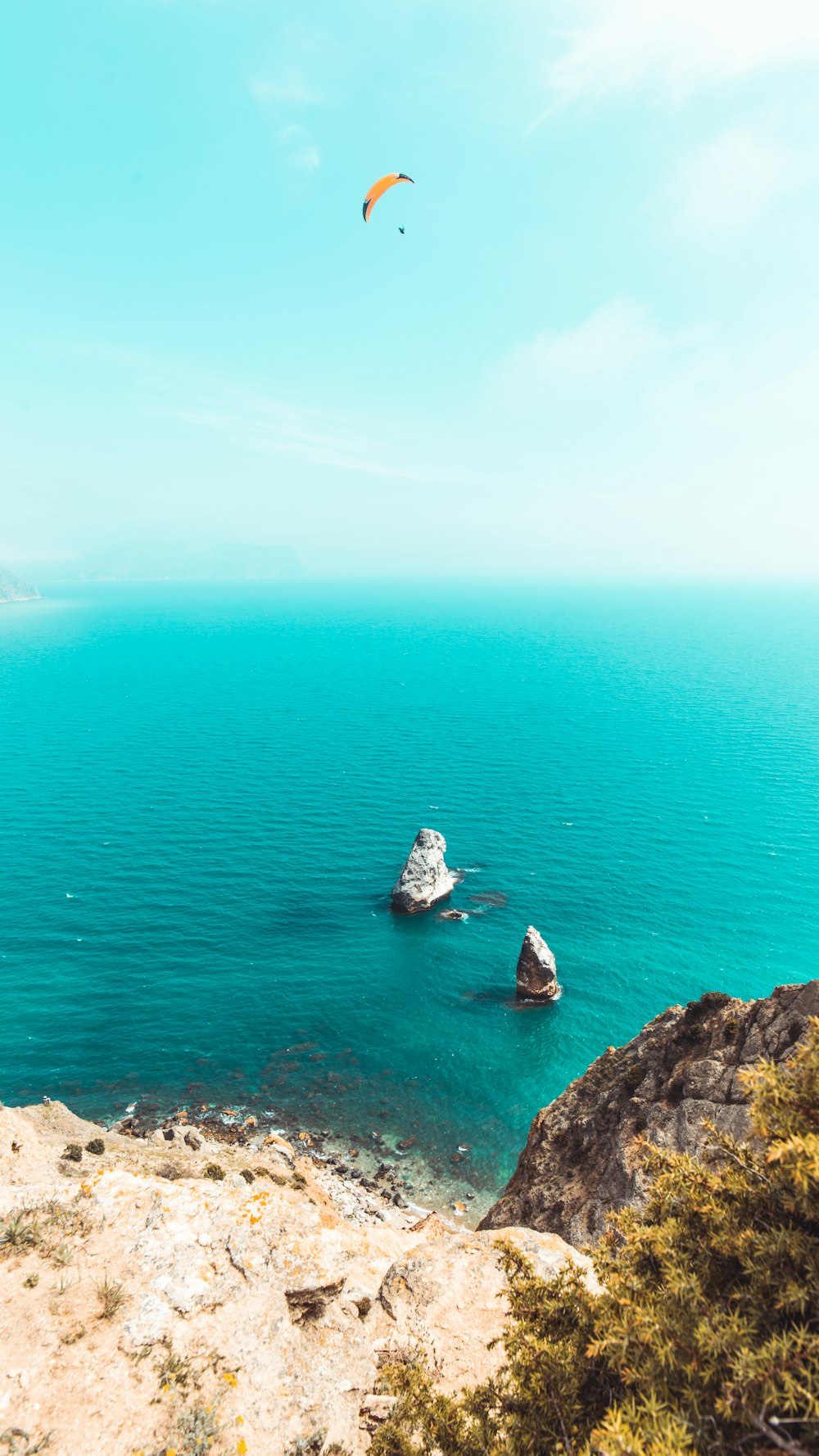 a bird flying over a body of water