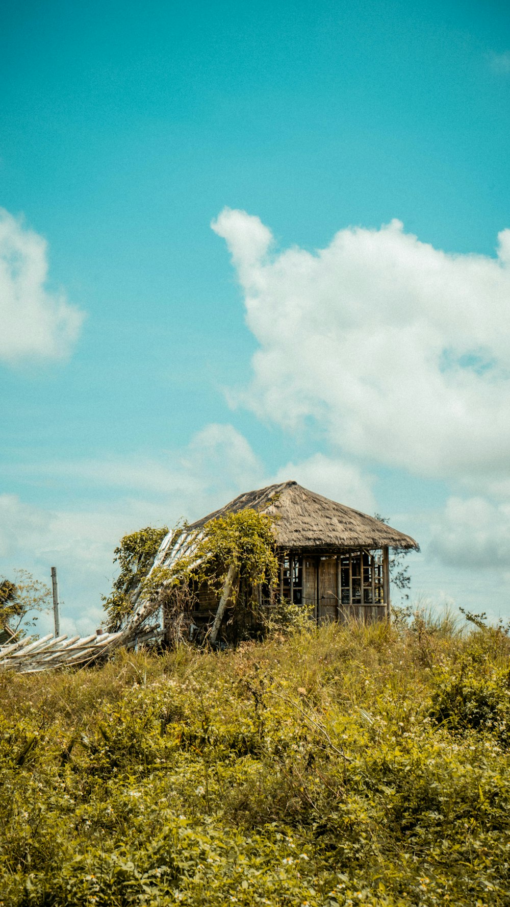 a small hut sitting on top of a lush green hillside