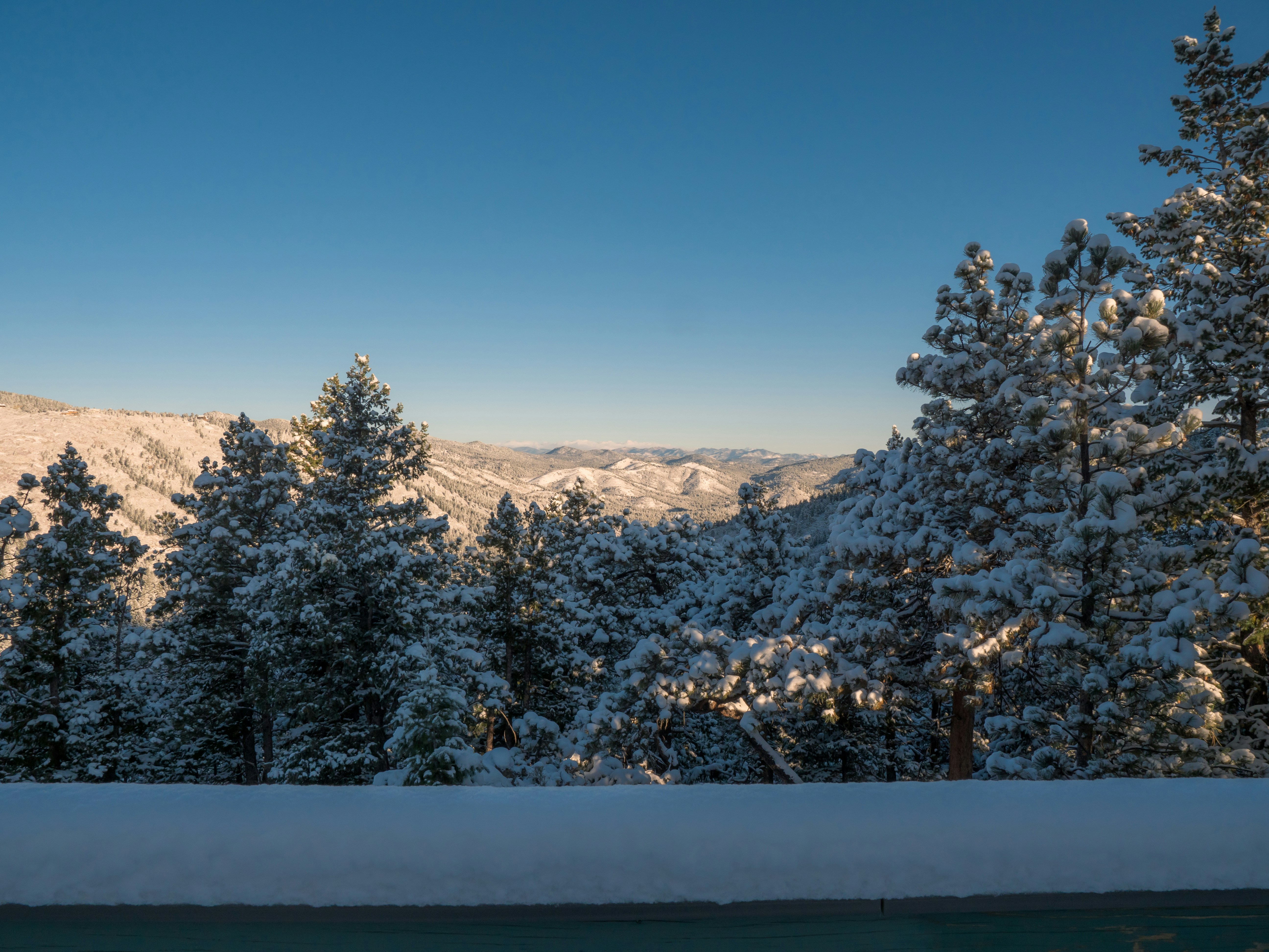 a snow covered forest with a mountain in the background