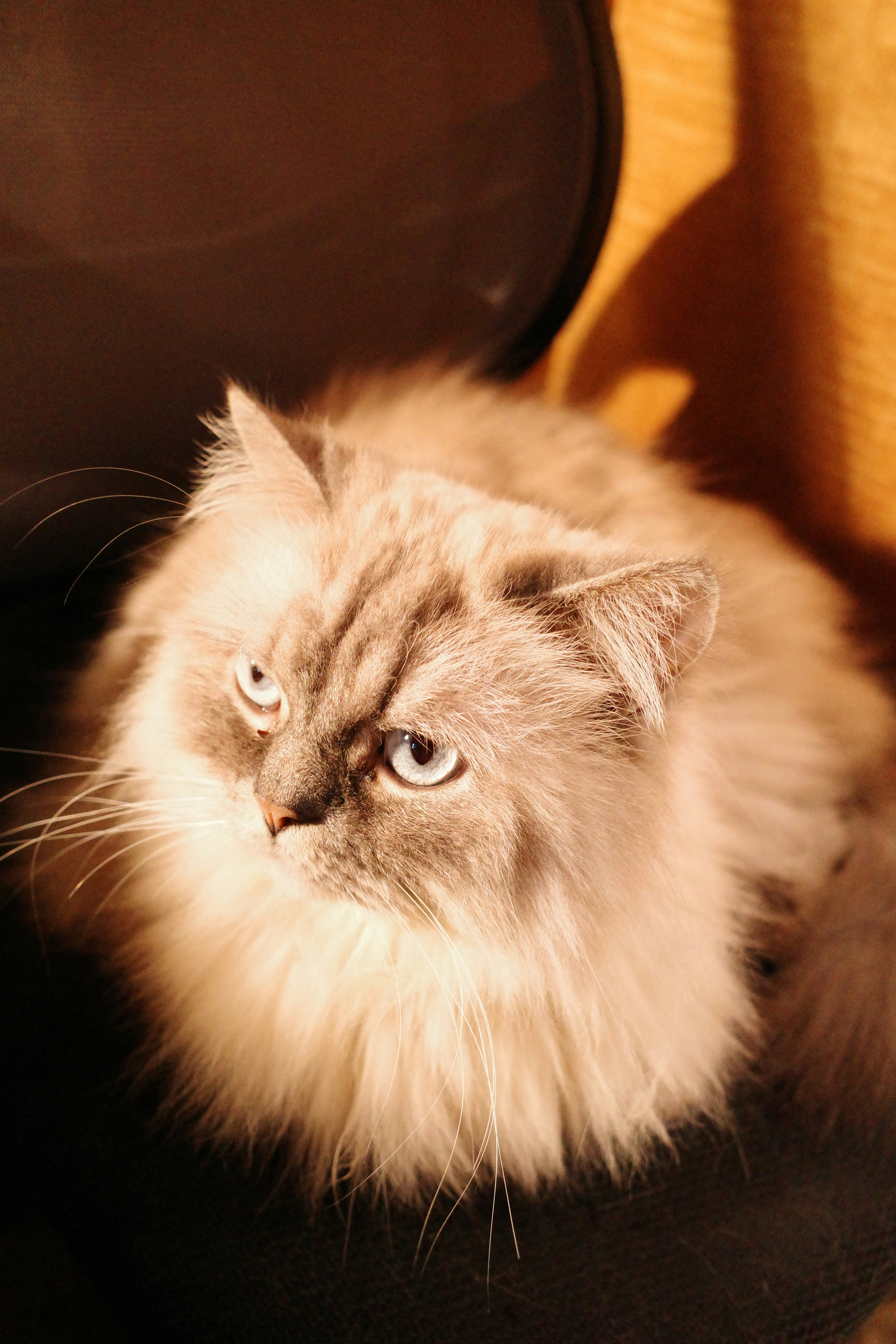 Photo by msz010dzeta