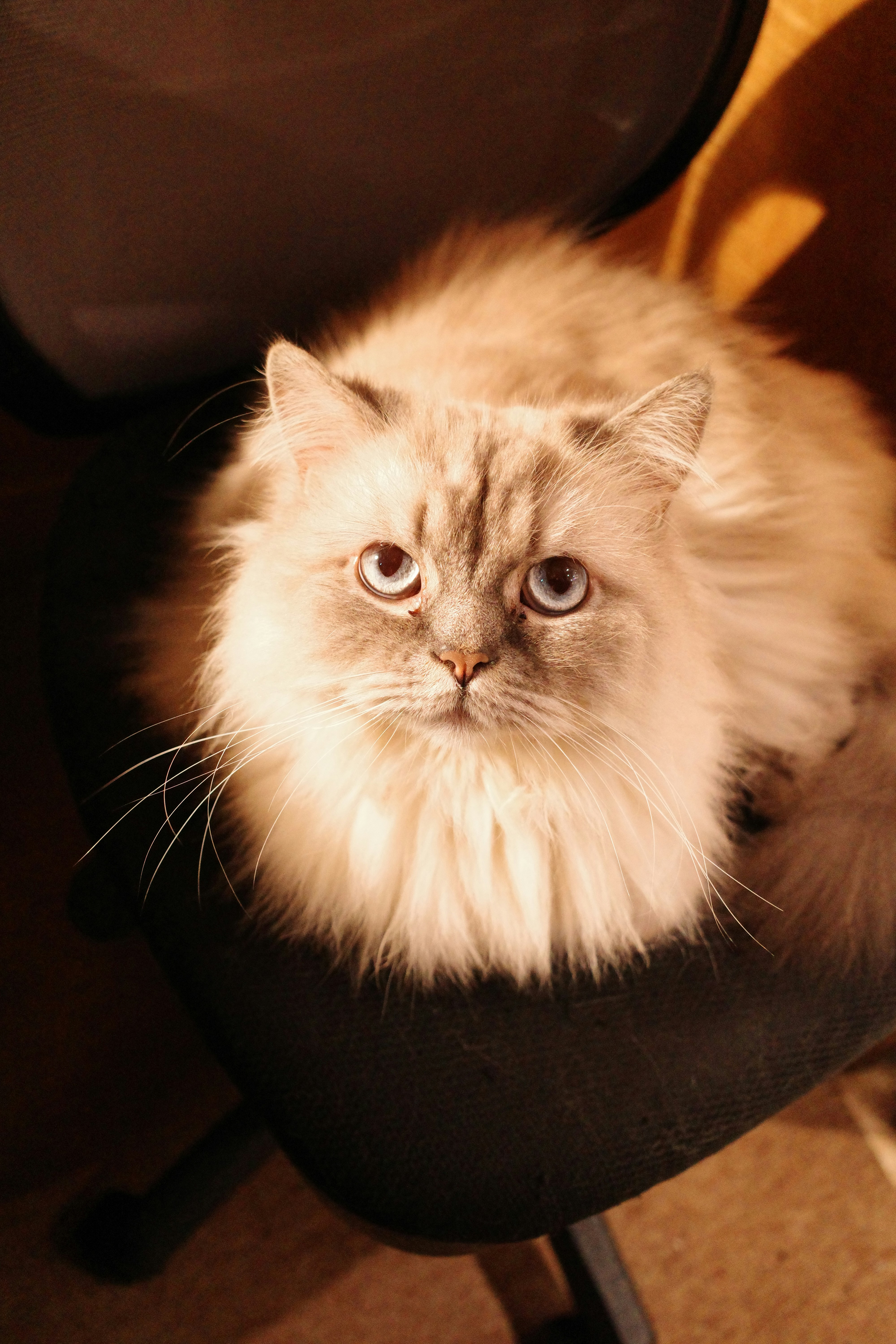 Photo by msz010dzeta