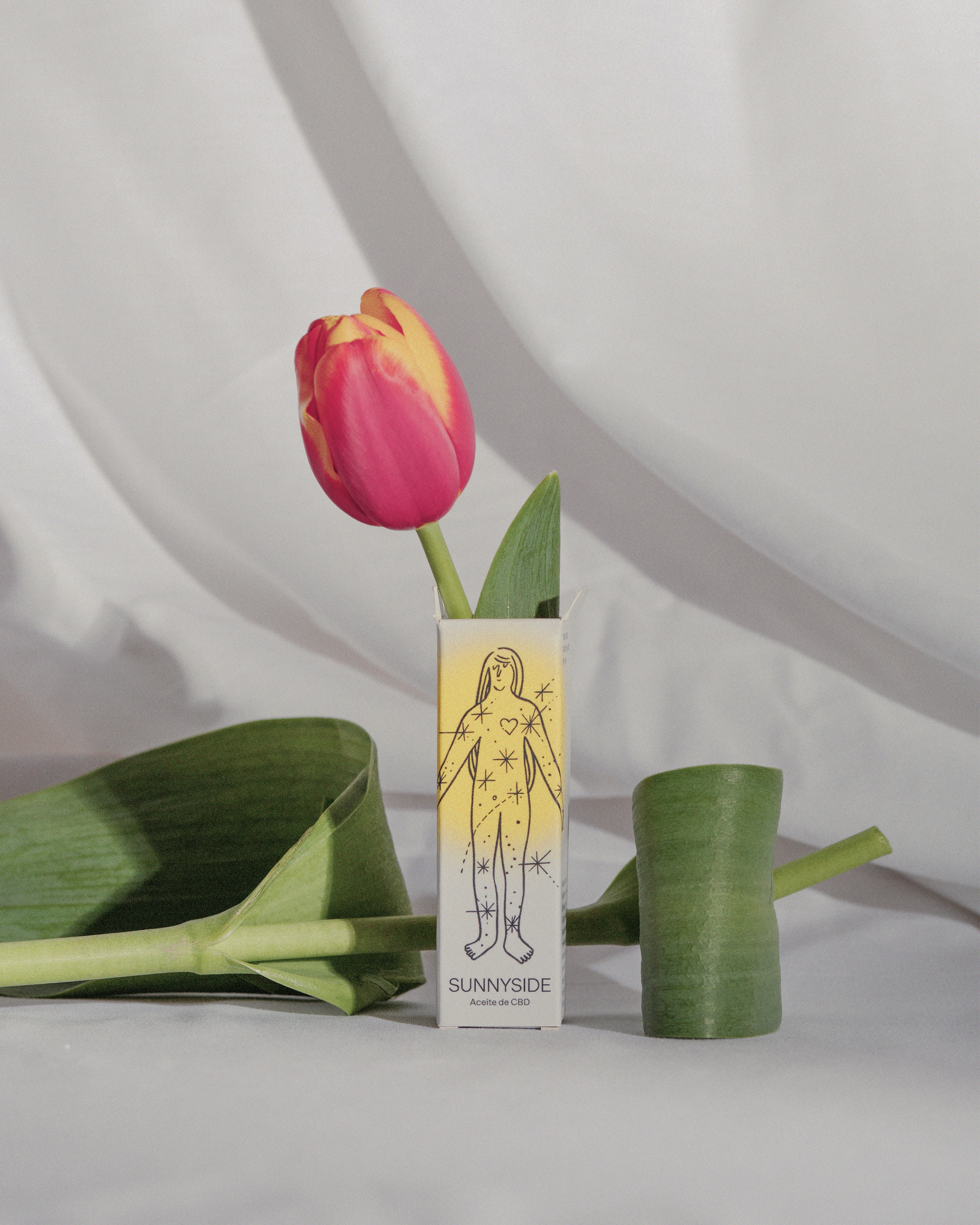 緑の植物の隣に座っているピンクのチューリップ